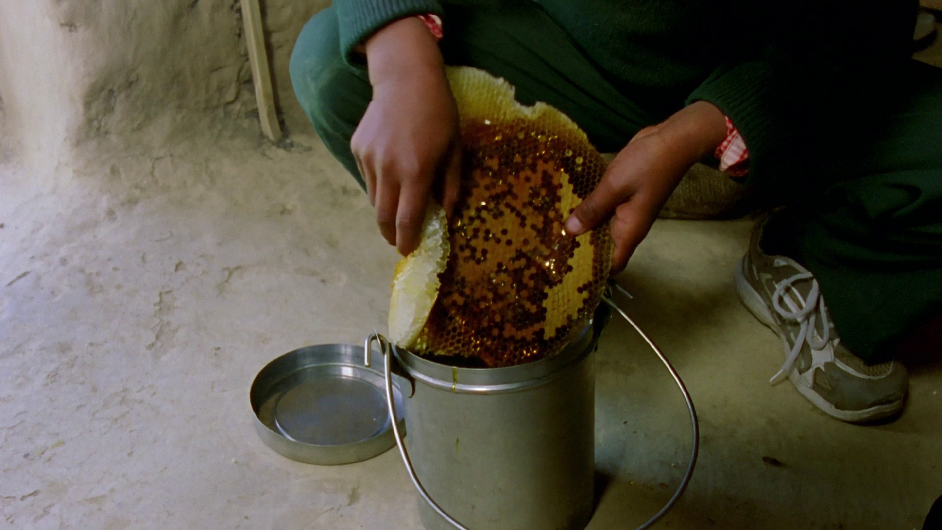 Kaphal: Wild Berries (2013) —  shot,  lighting