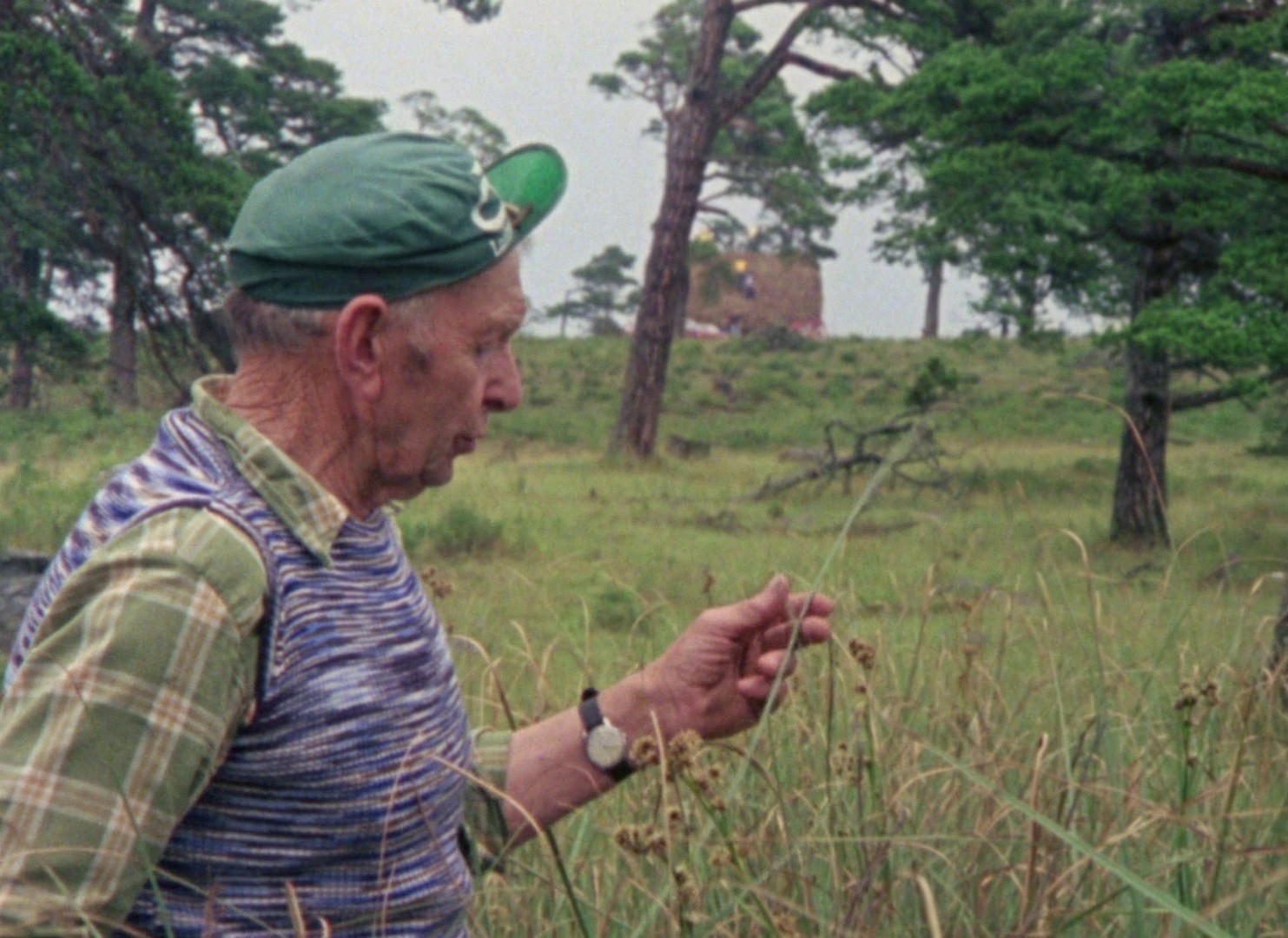 Faro Document 1979 (1979) —  shot,  lighting