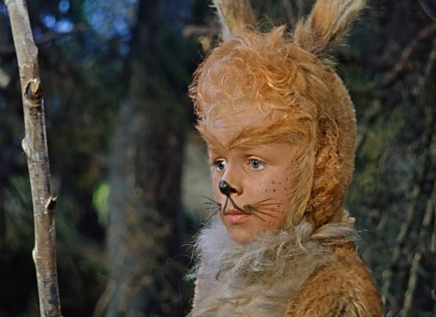 Little Red Riding-Hood (1962) —  shot,  lighting