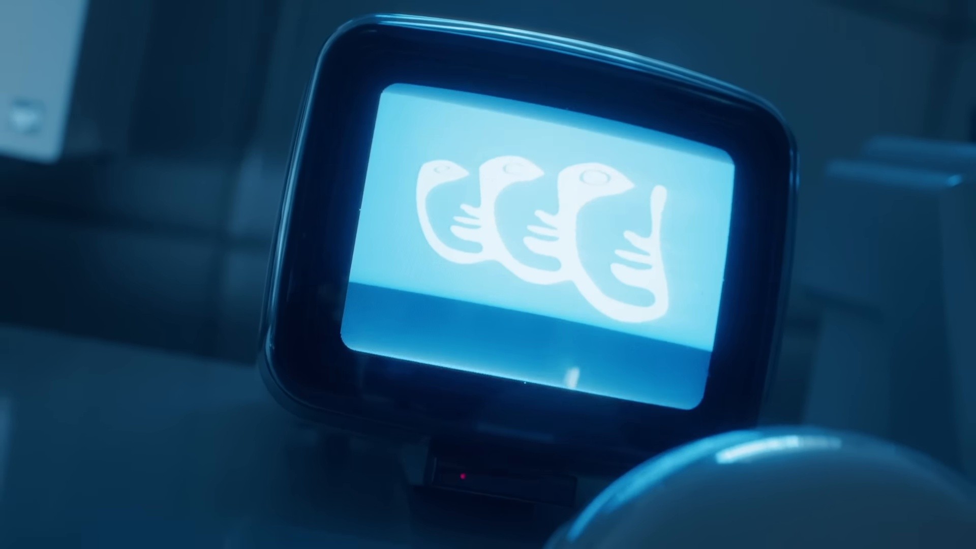 Eco (2025) —  shot,  lighting