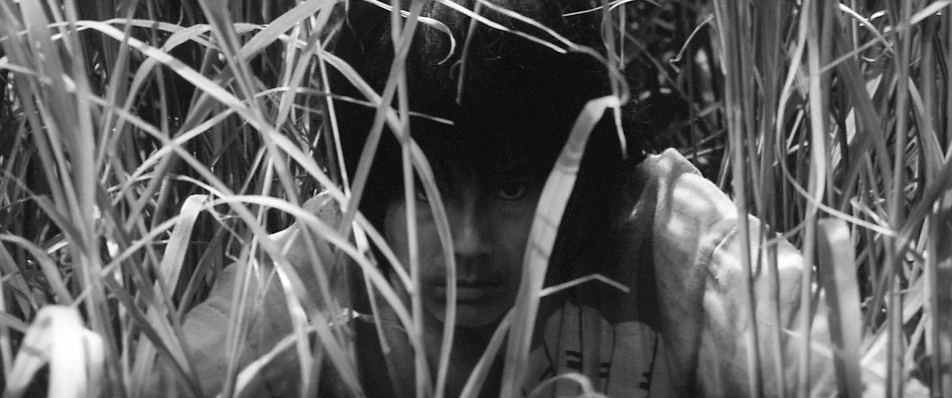 Onibaba (1964) —  shot,  lighting
