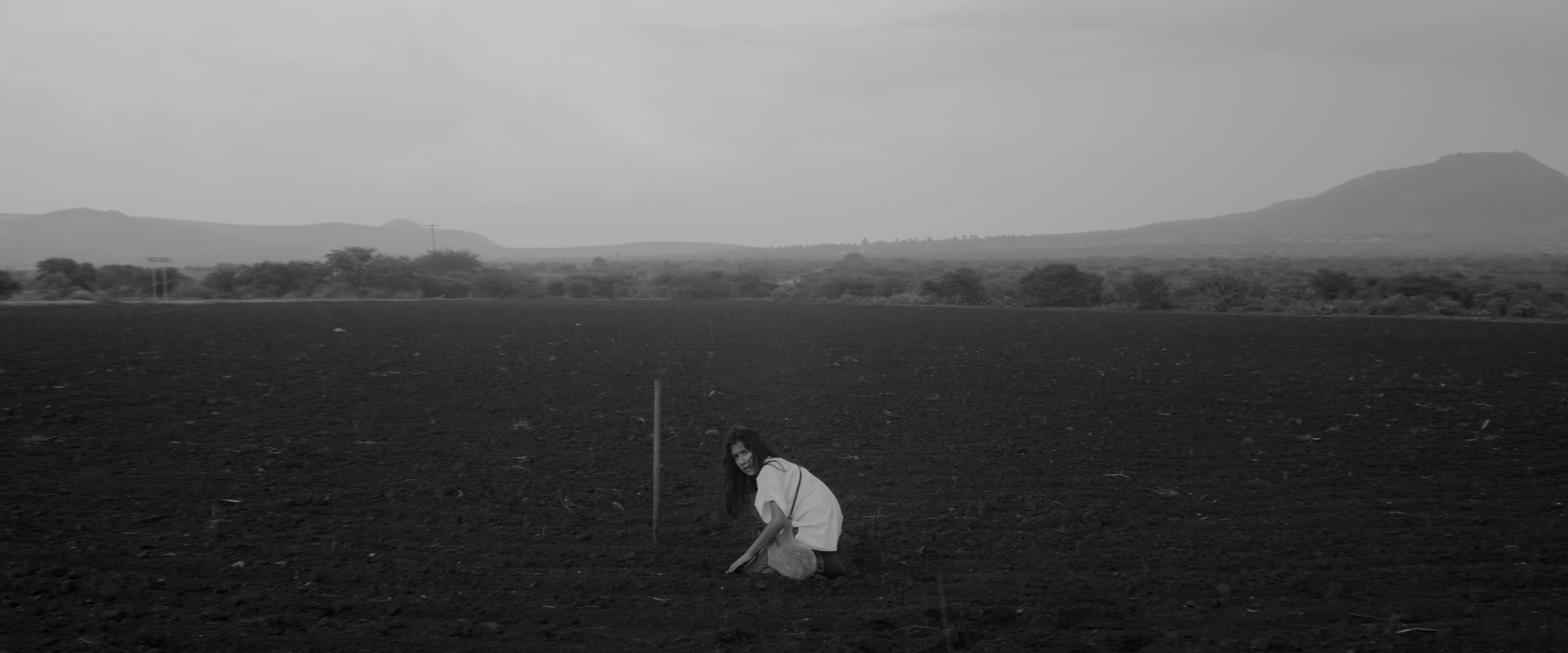 Hijos del Sol (2020) —  shot,  lighting