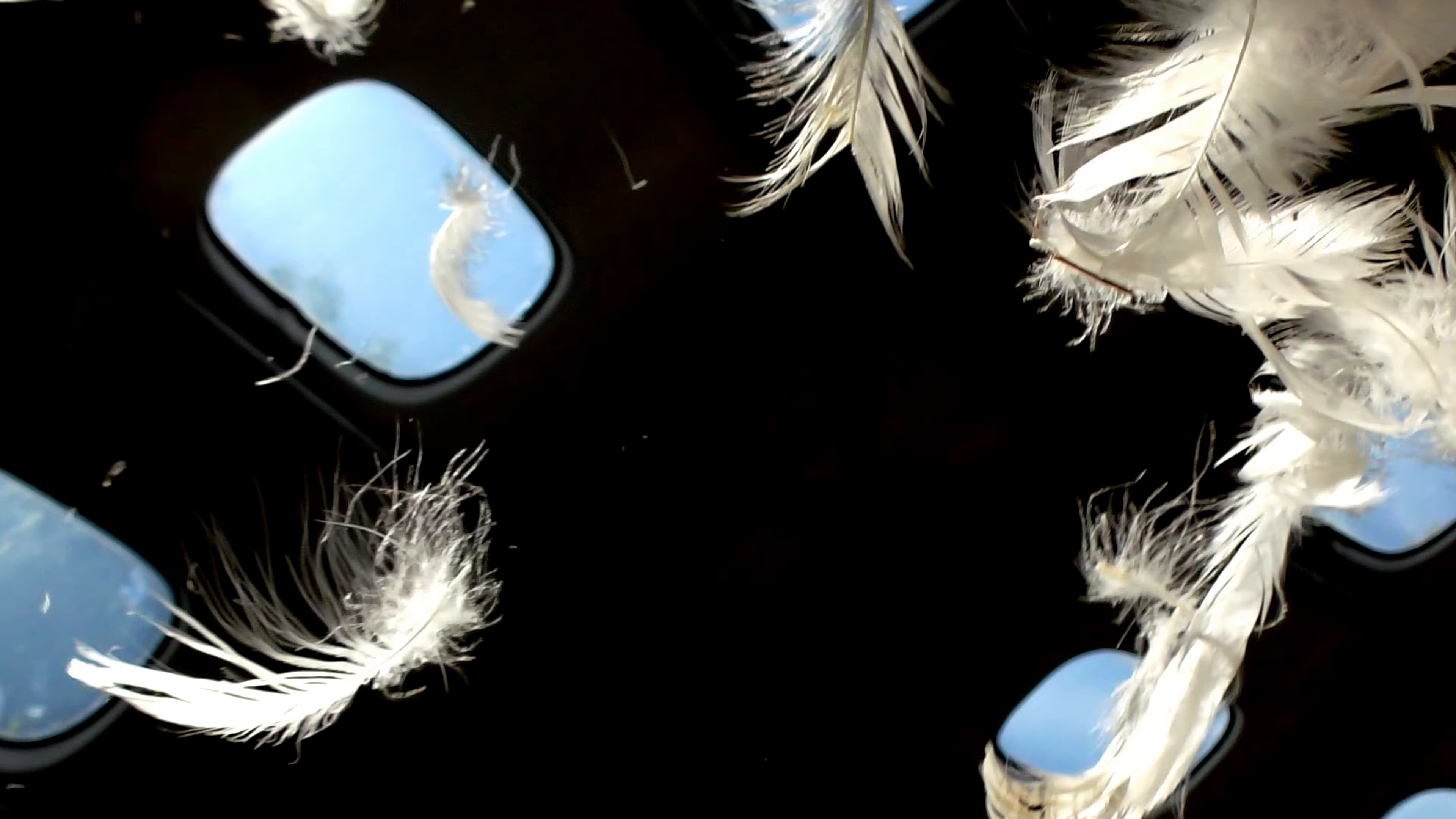 HeartAttack (2025) —  shot,  lighting