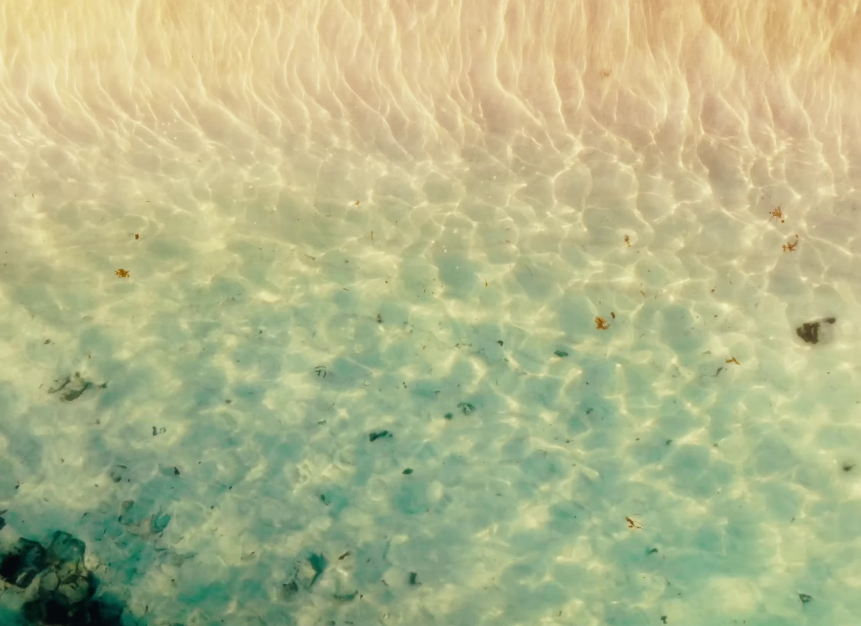 Above Water (2024) —  shot,  lighting