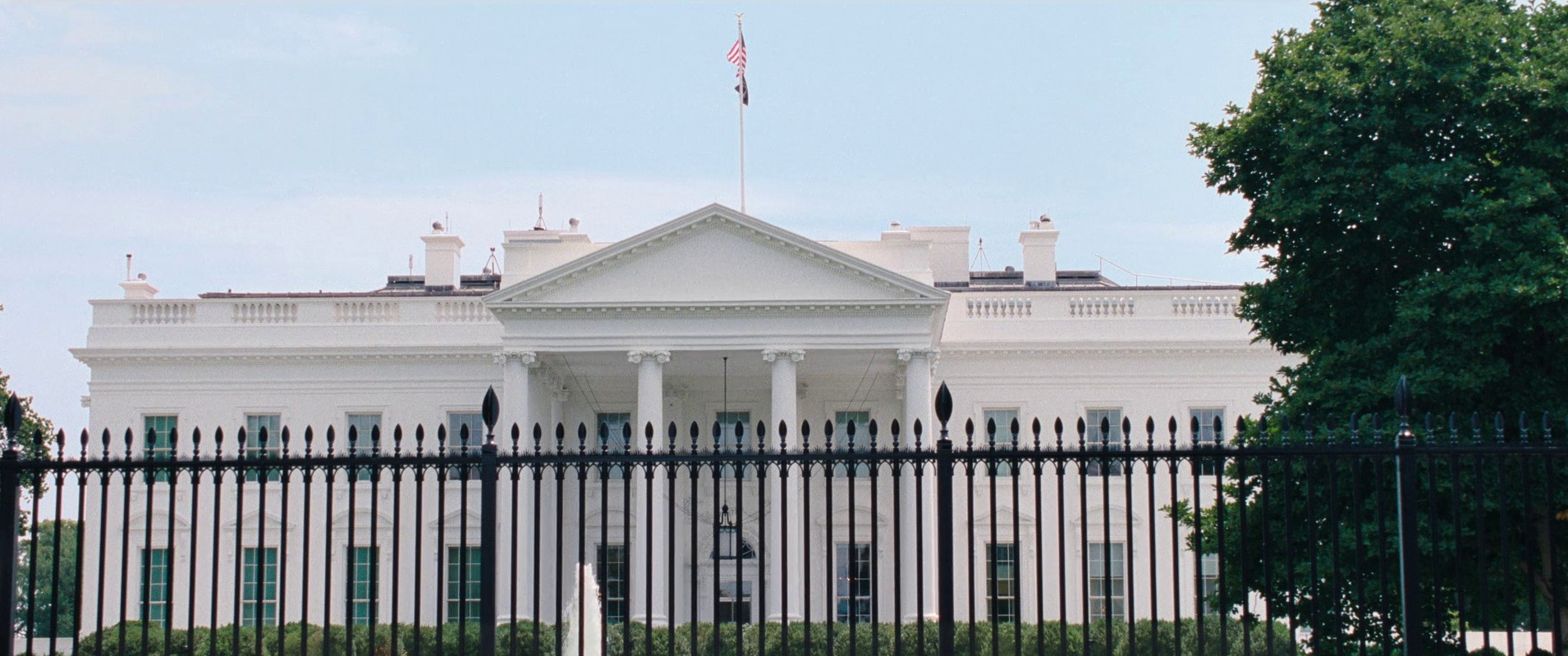 Don't Look Up (2021) —  shot,  lighting