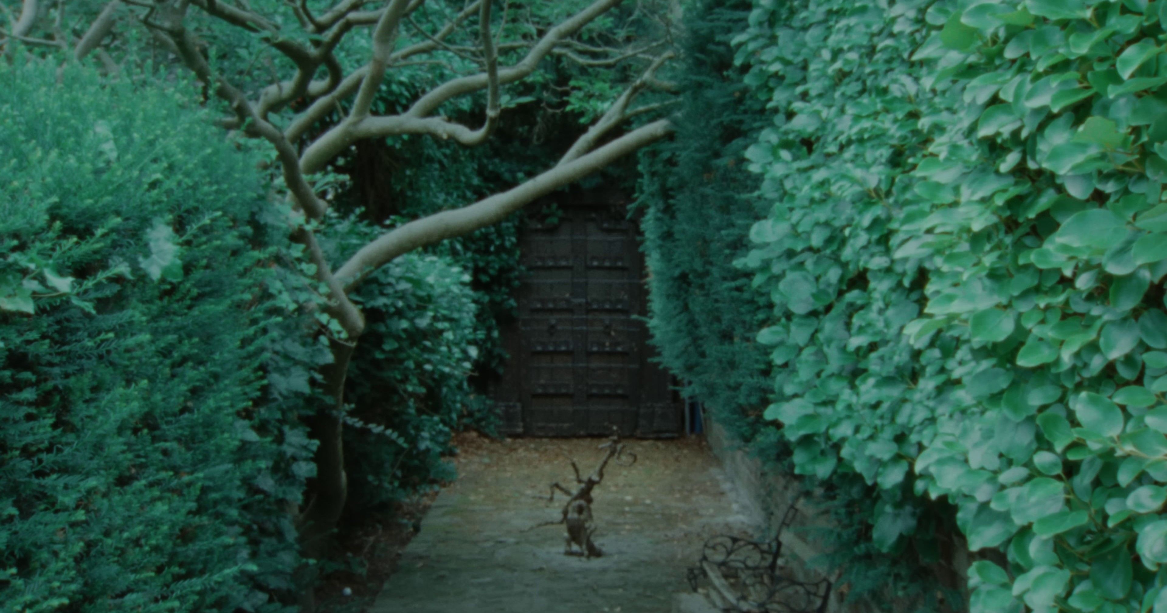 how u feel? (2023) —  shot,  lighting