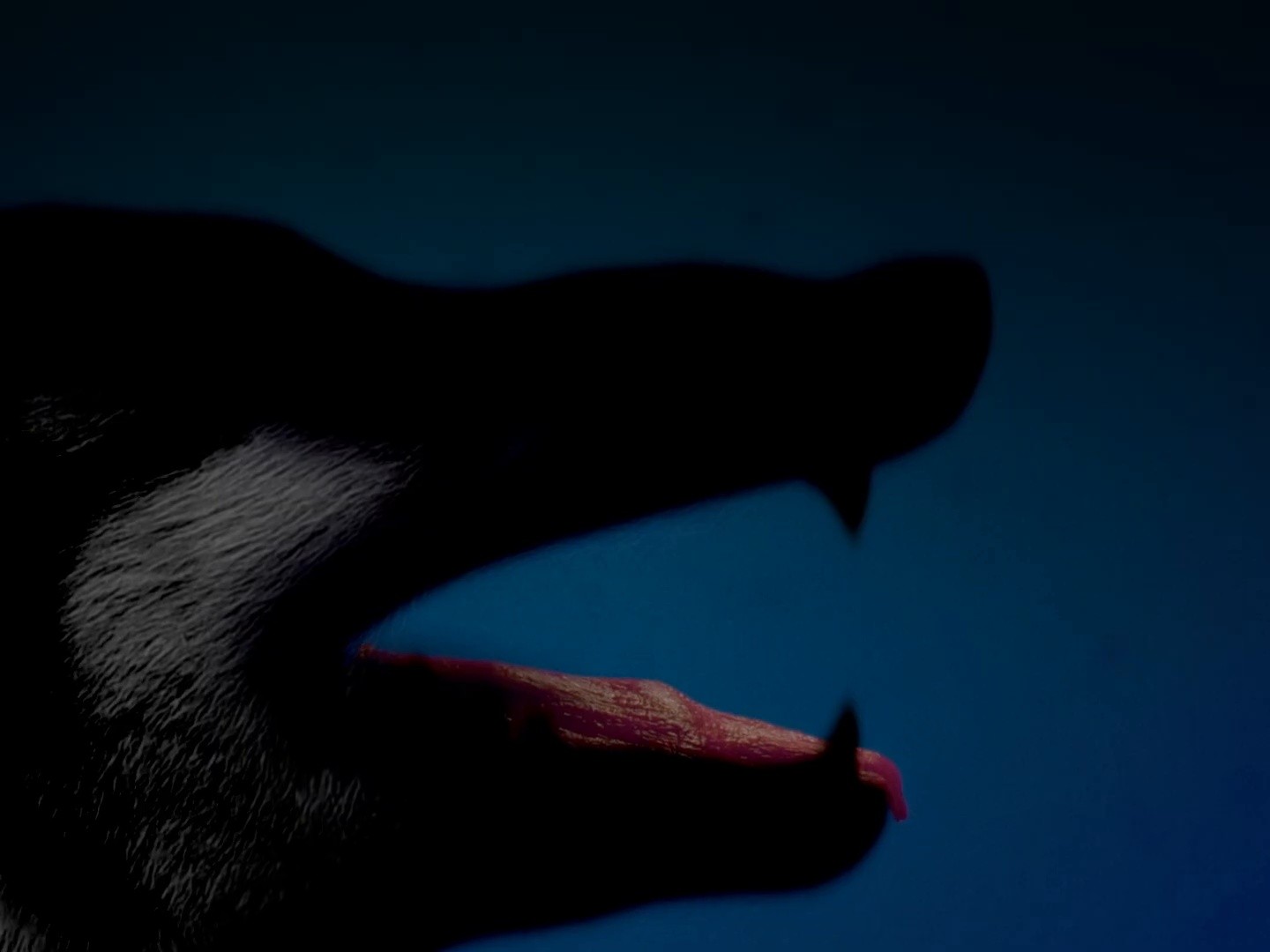 Distracted By You (2025) —  shot,  lighting