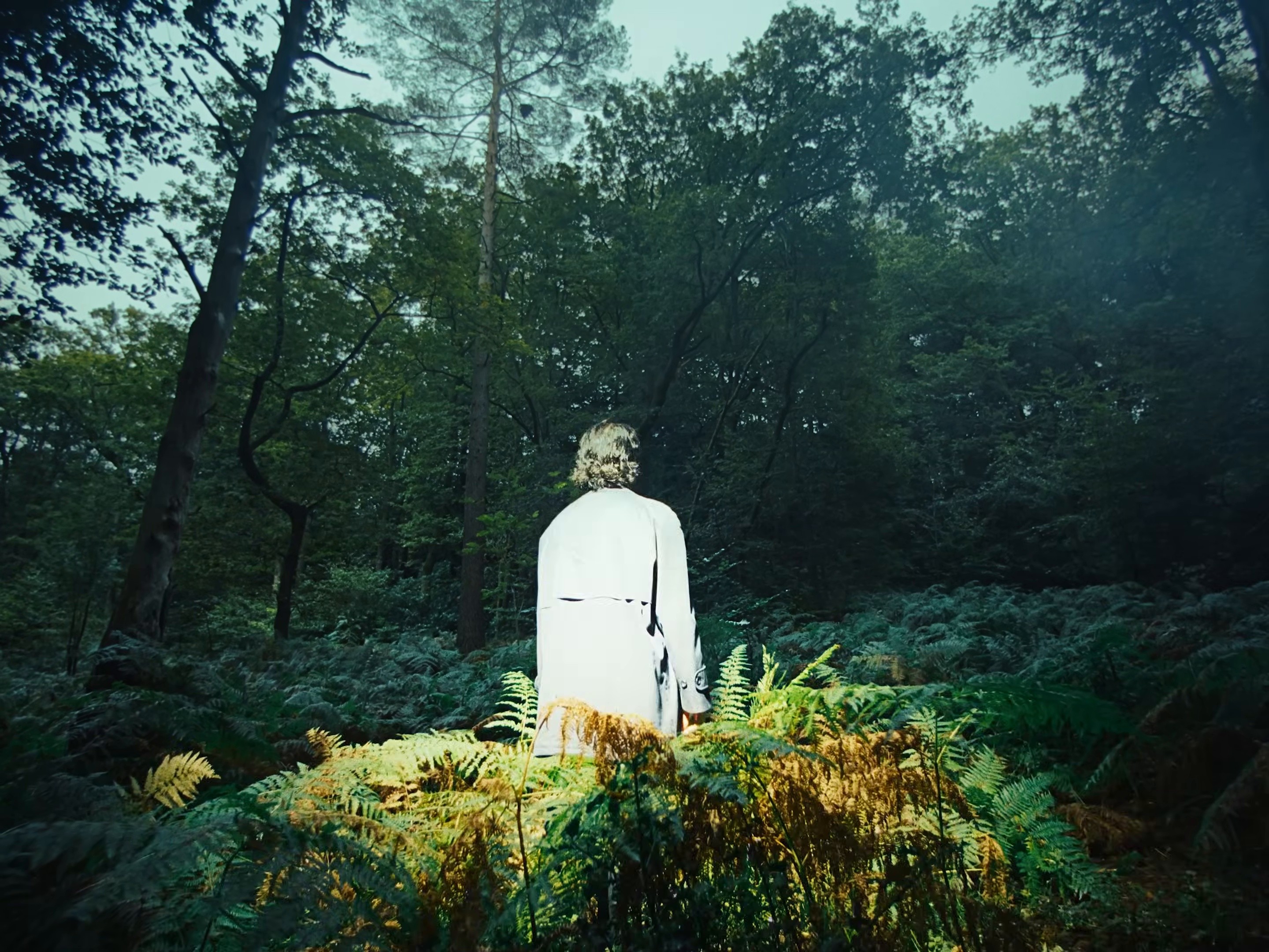 All The Way (2025) —  shot,  lighting