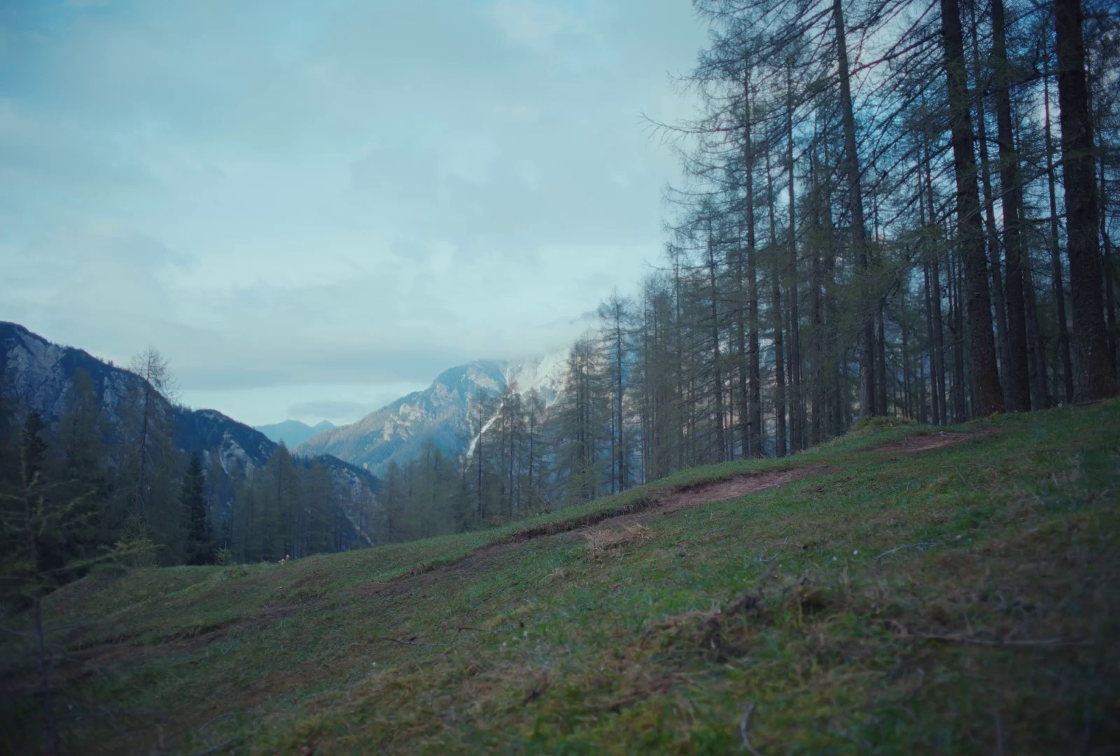 NORTH FACE - Run the Numbers (2023) —  shot,  lighting