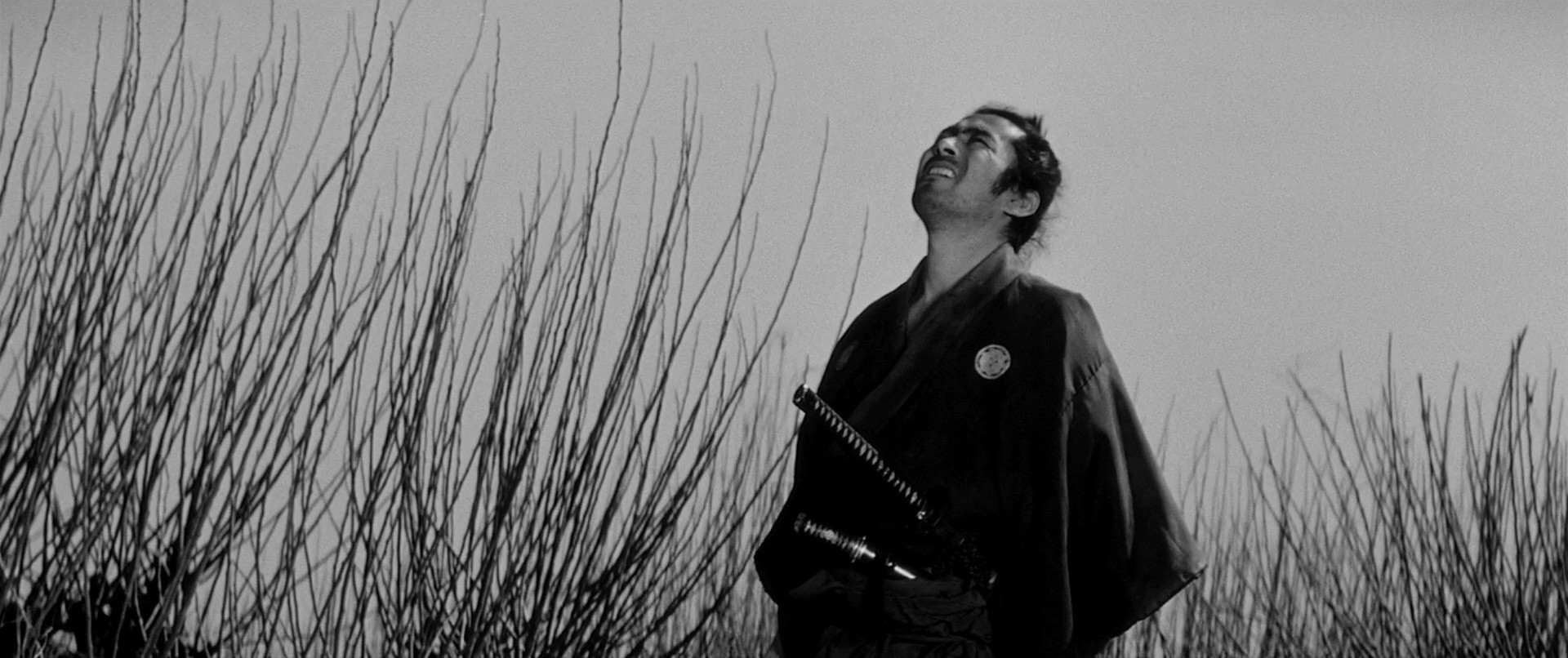 Yojimbo (1961) —  shot,  lighting