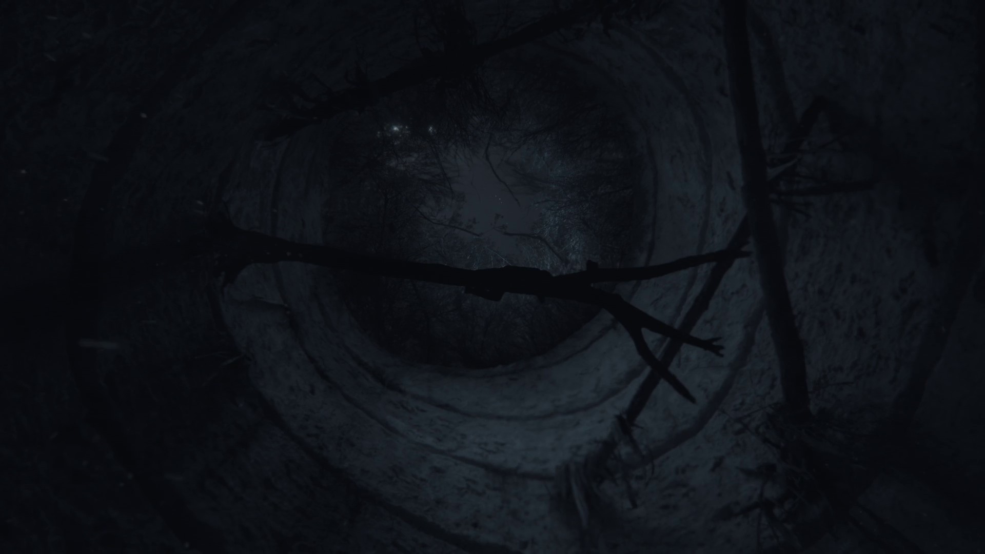 Nature's Course (2020) —  shot,  lighting