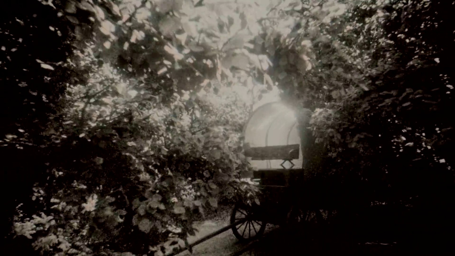 Ode To The Mets (2020) —  shot,  lighting