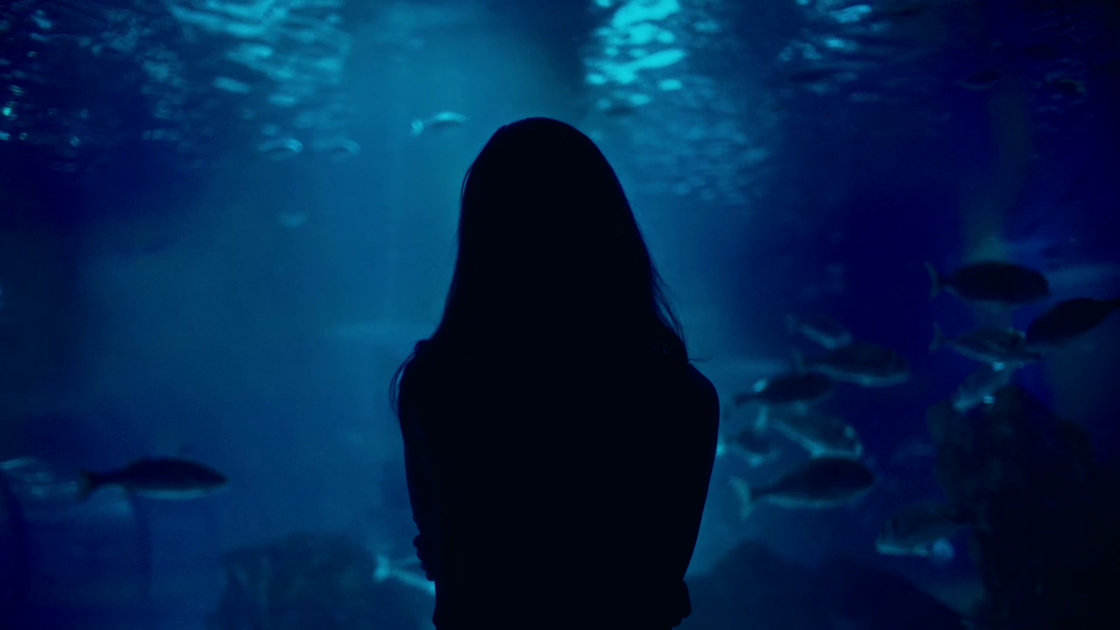 Rain (2022) —  shot,  lighting