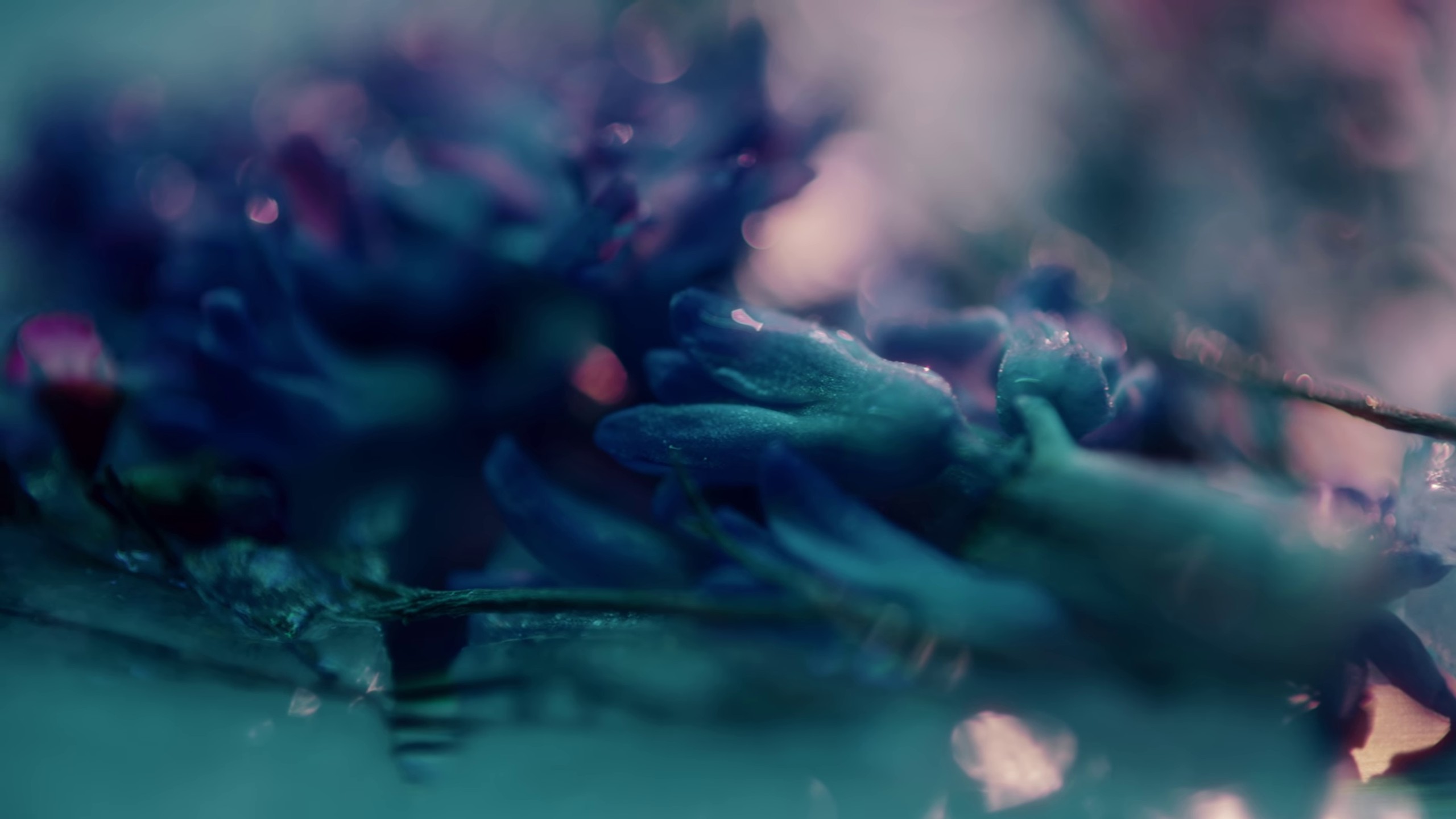 Firefly (2022) —  shot,  lighting