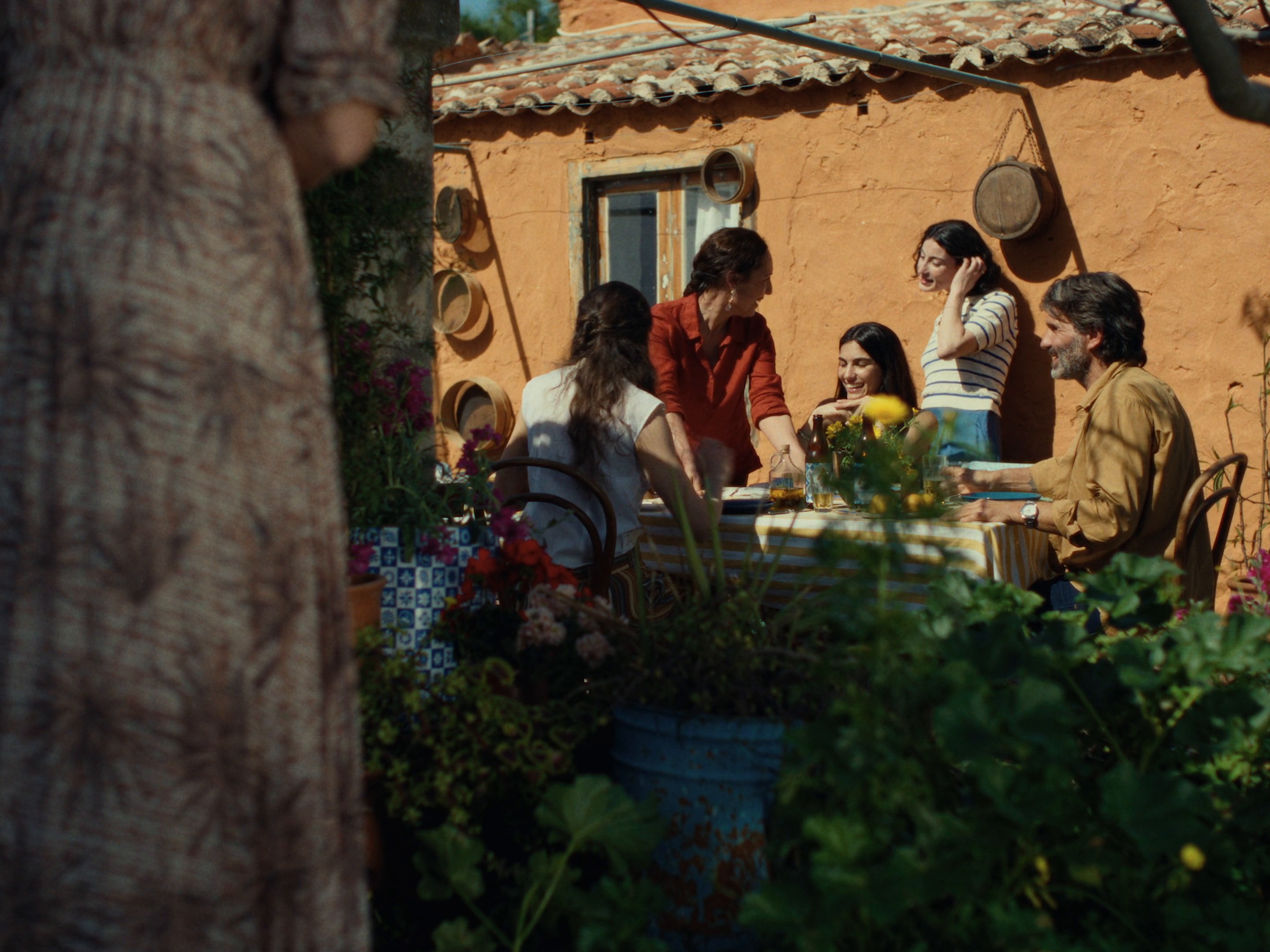 The Subtle Things - Alfa Beer (2024) —  shot,  lighting