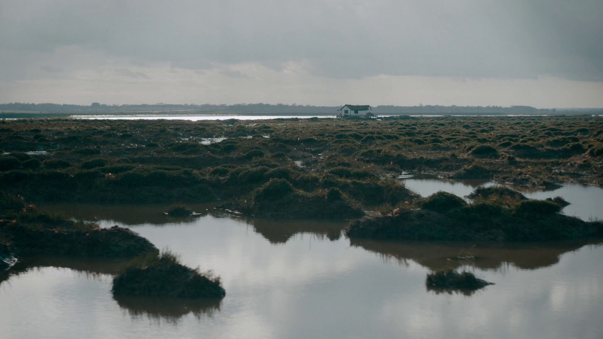 Matters of the Heart (2022) —  shot,  lighting