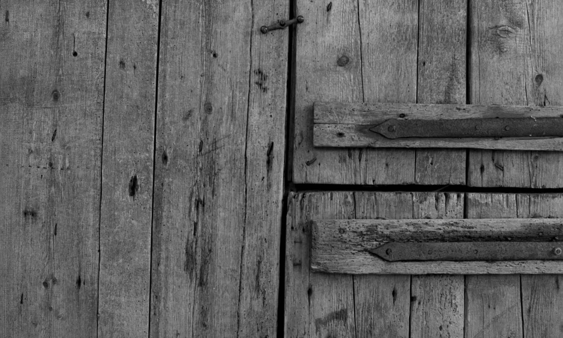 The Turin Horse (2012) —  shot,  lighting