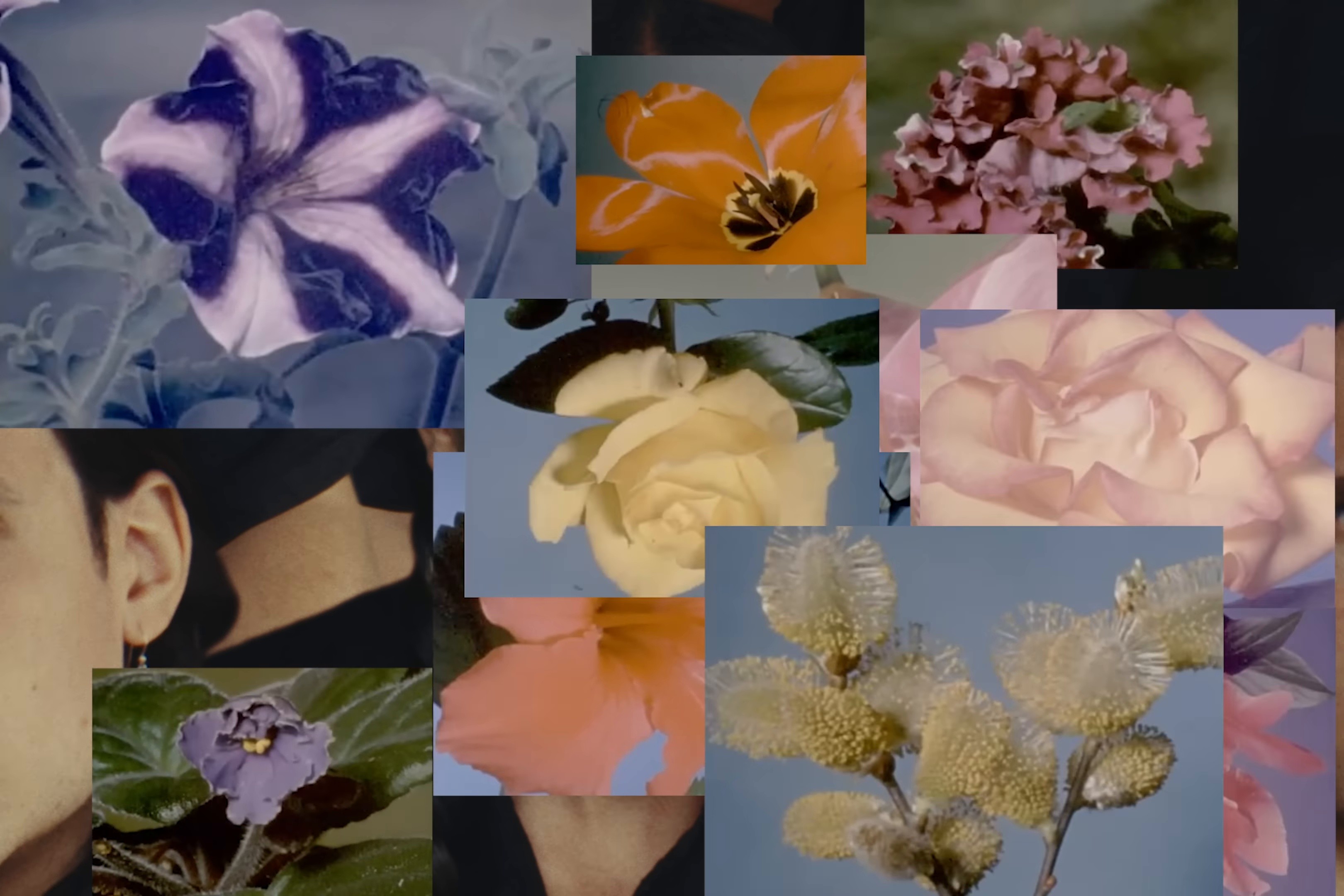 SÍGUEME (2025) —  shot,  lighting