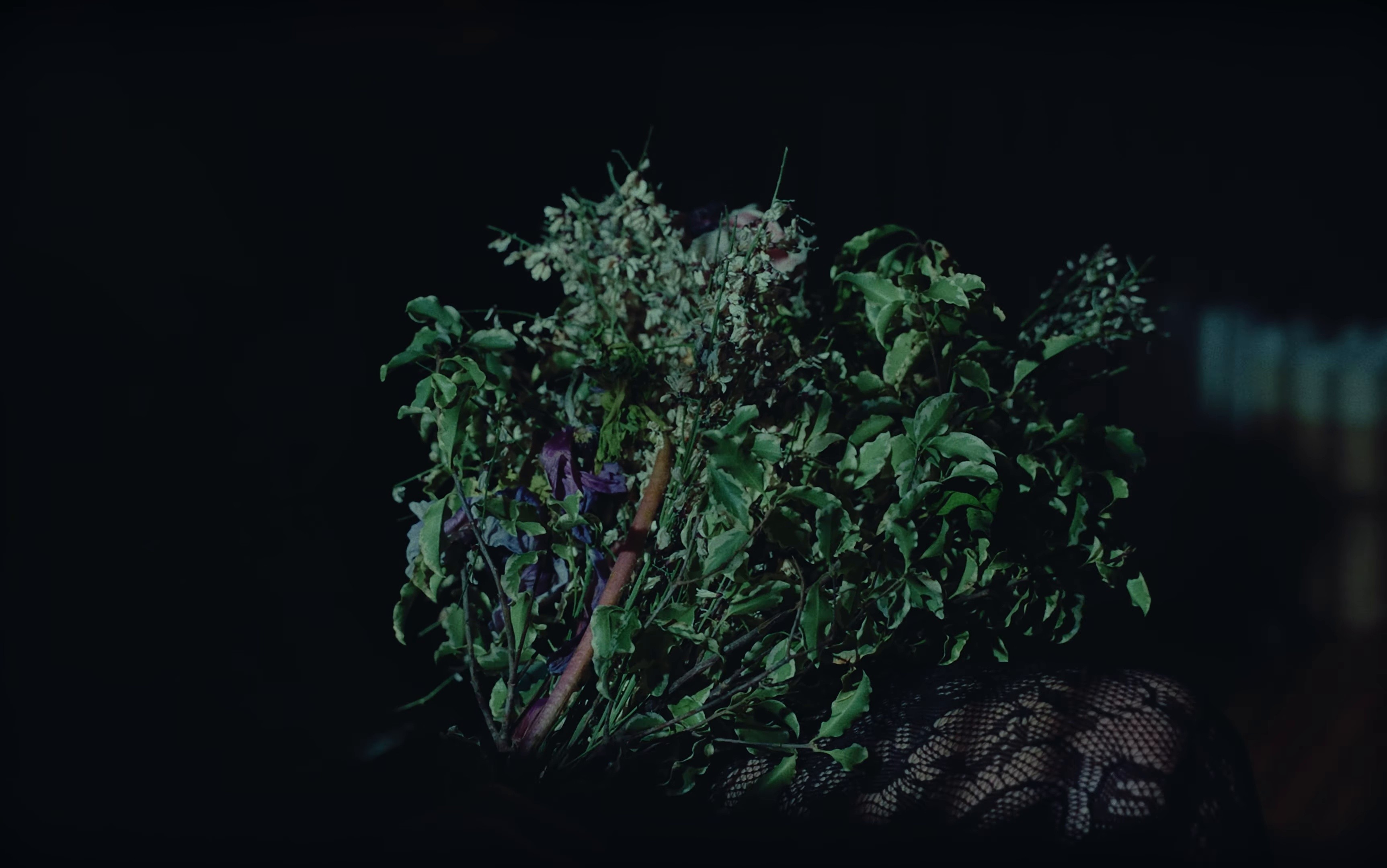 BEST-SELLER (2025) —  shot,  lighting