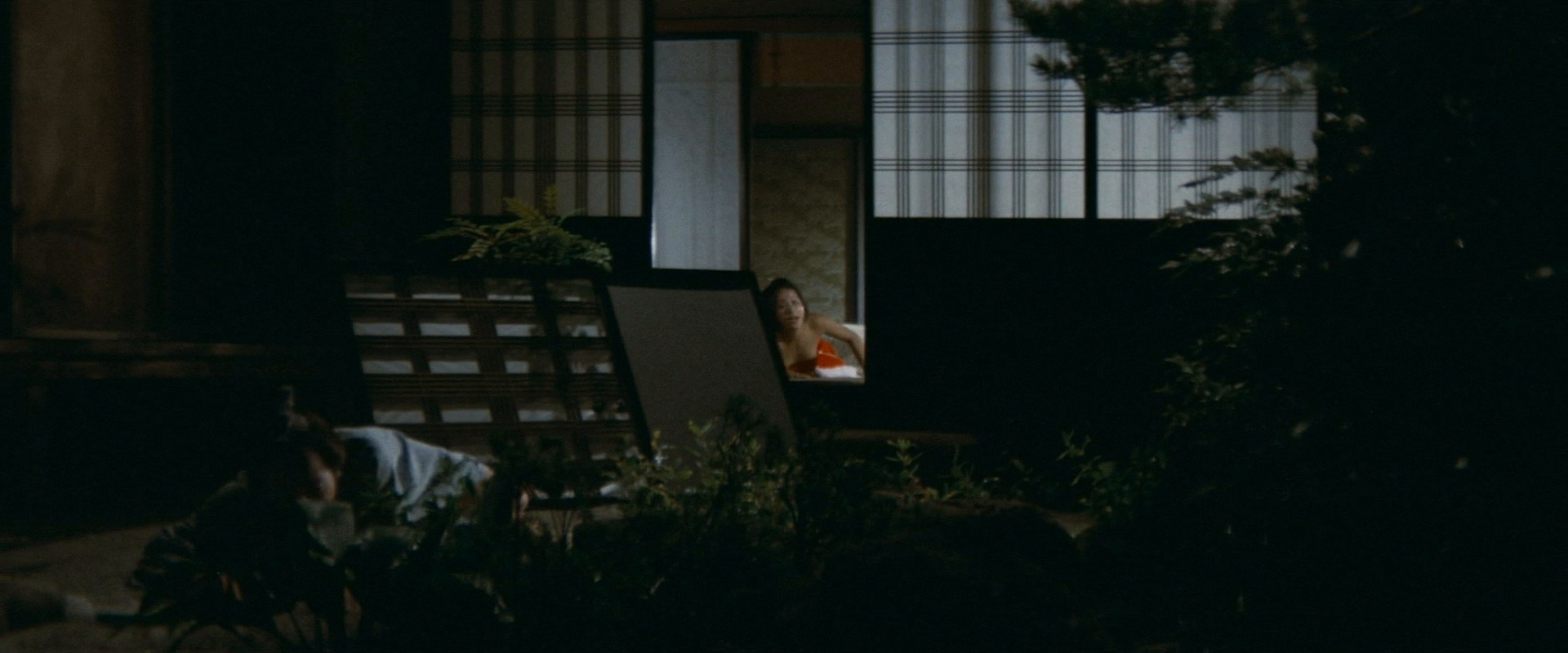 The Story of a Nymphomaniac (1975) —  shot,  lighting