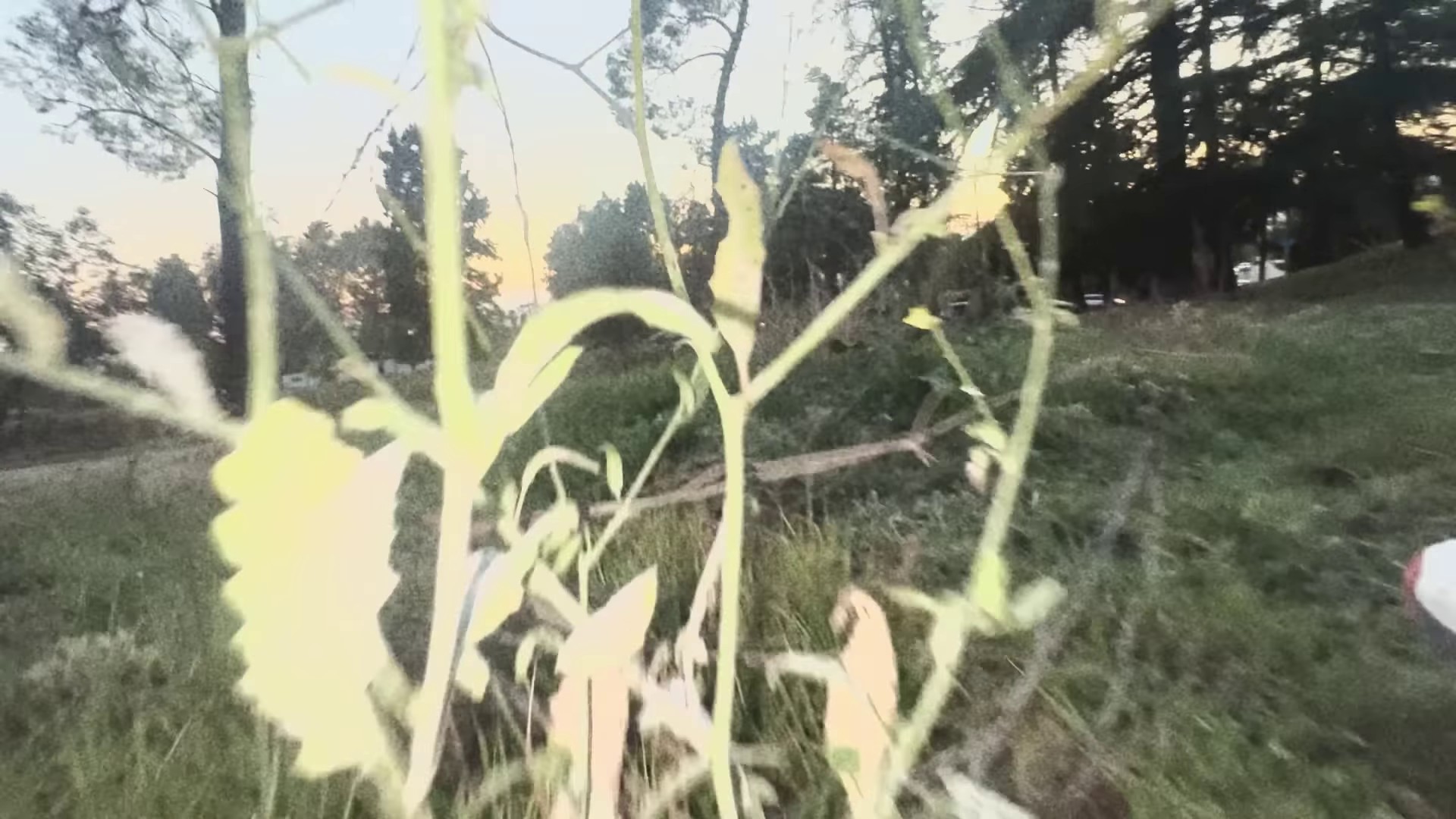 BYE BYE (2024) —  shot,  lighting