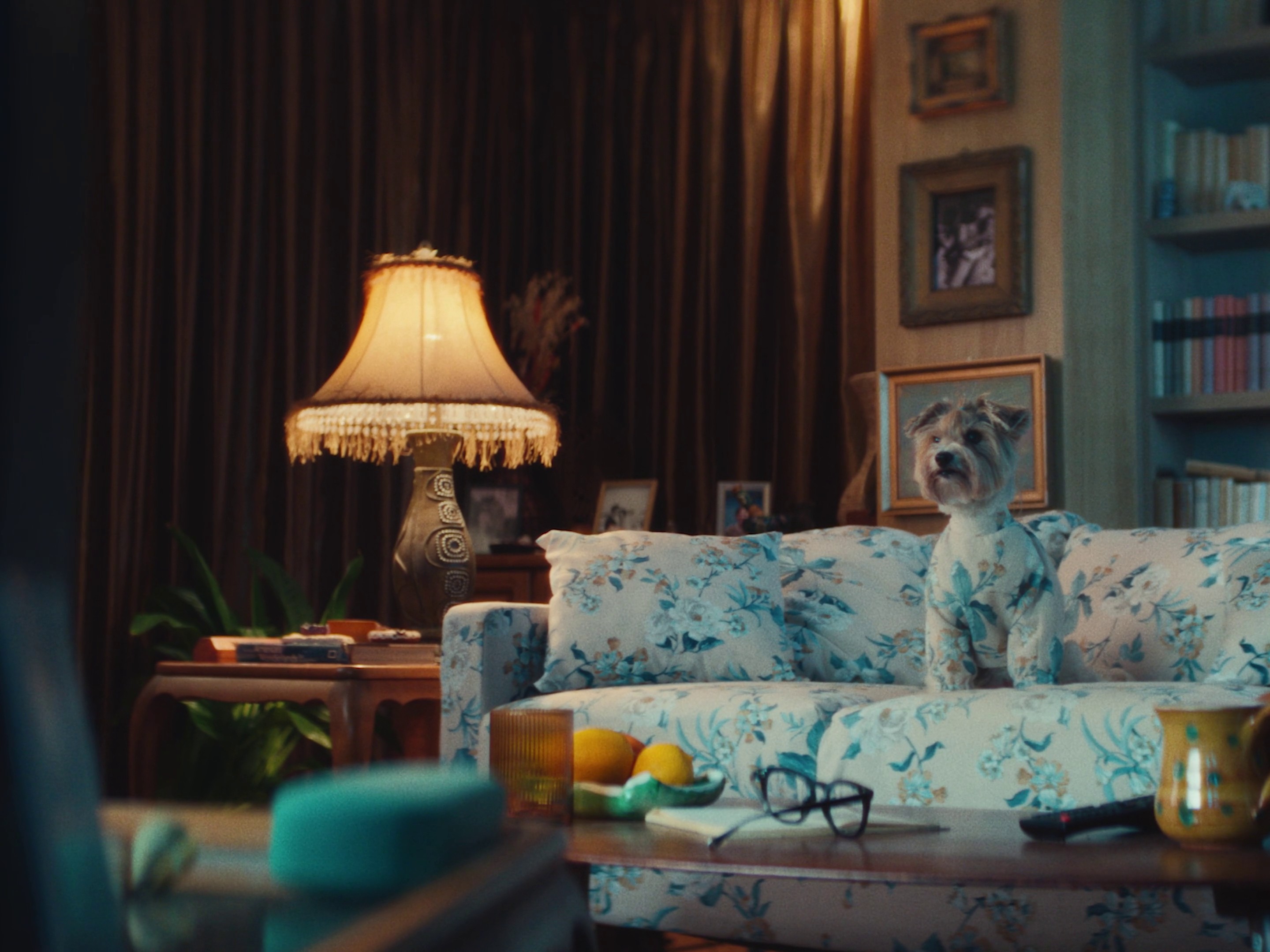 Hill's - Silent Sufferers (DC) (2024) —  shot,  lighting