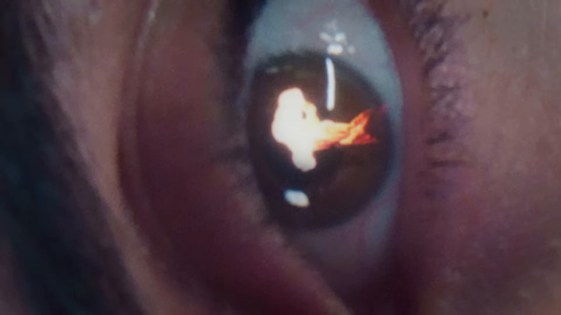 Eco (2025) —  shot,  lighting