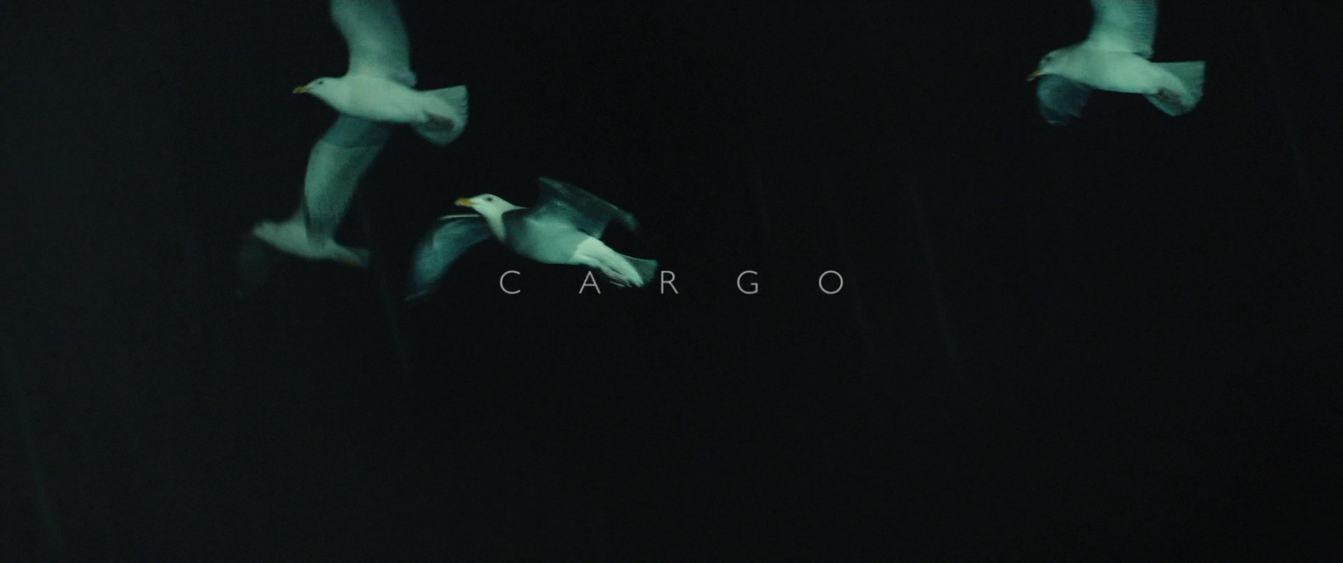 Cargo (2017) —  shot,  lighting