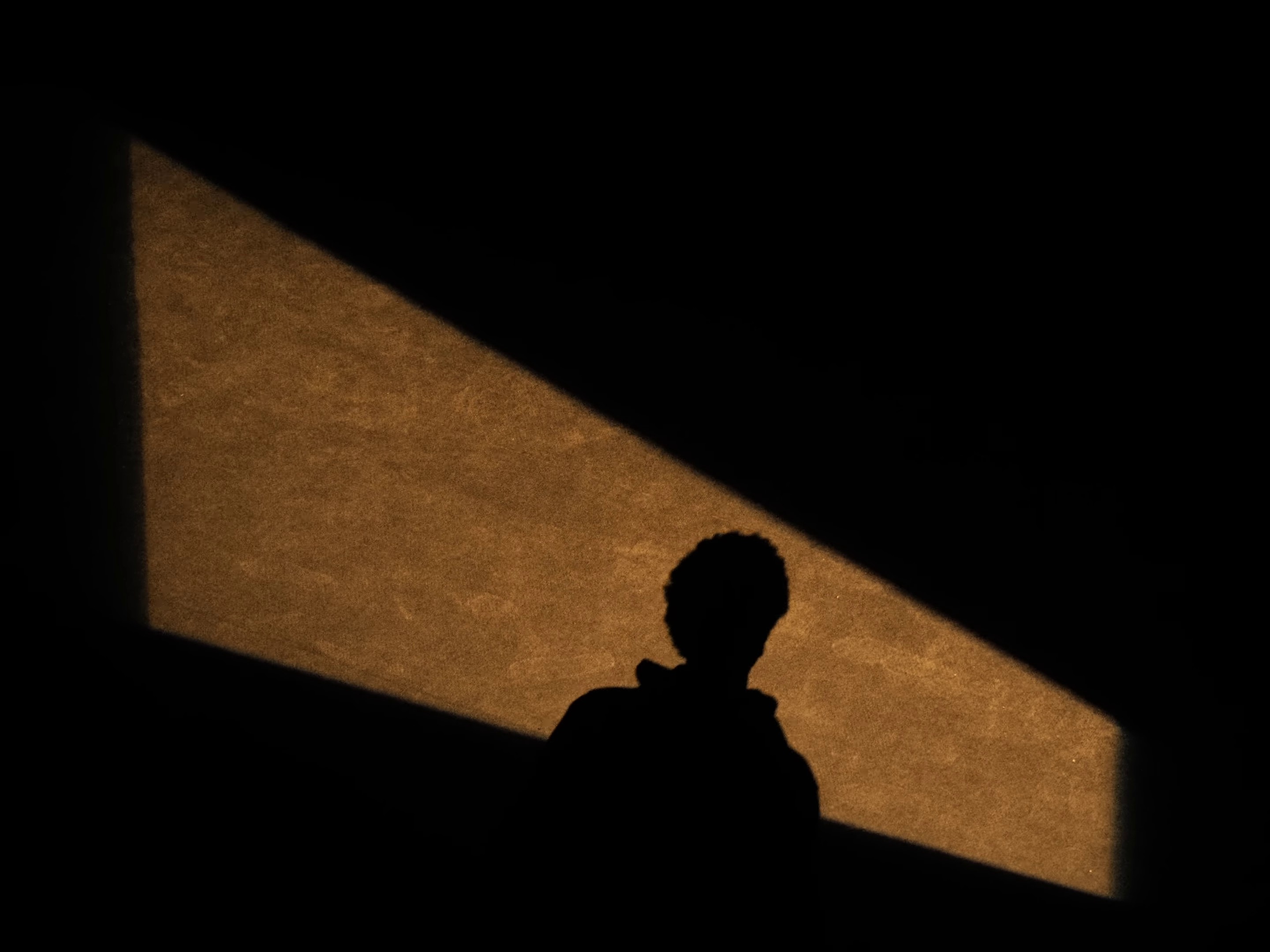 Joli (2022) —  shot,  lighting