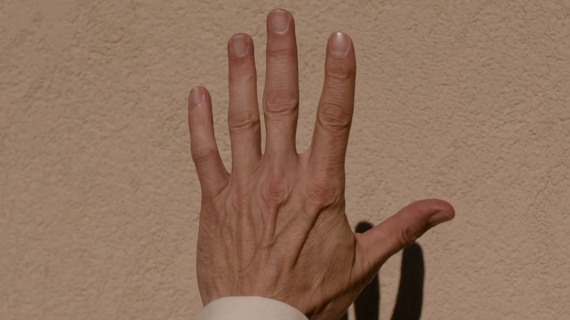 ZEGNA MADS MIKKELSEN _ OASI LINO (2024) —  shot,  lighting