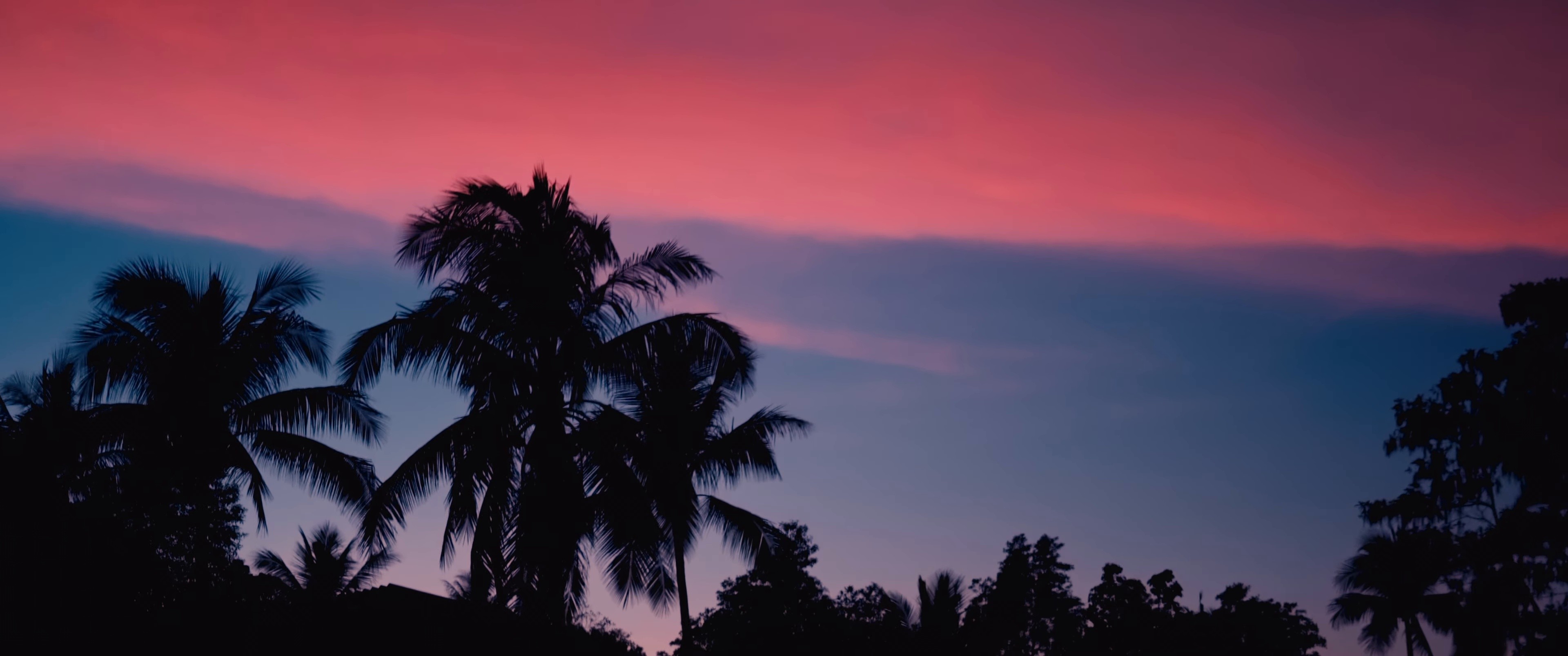 Comfortable (2025) —  shot,  lighting