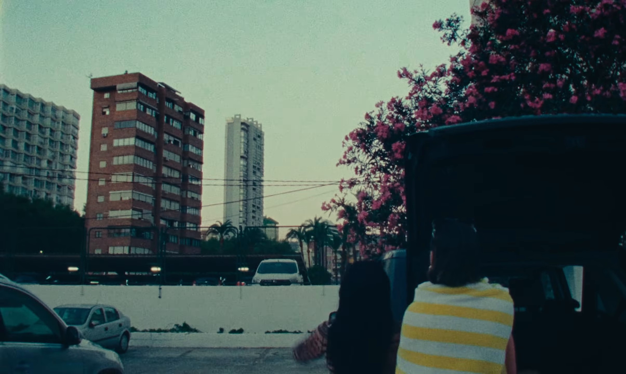 AWITA (2024) —  shot,  lighting