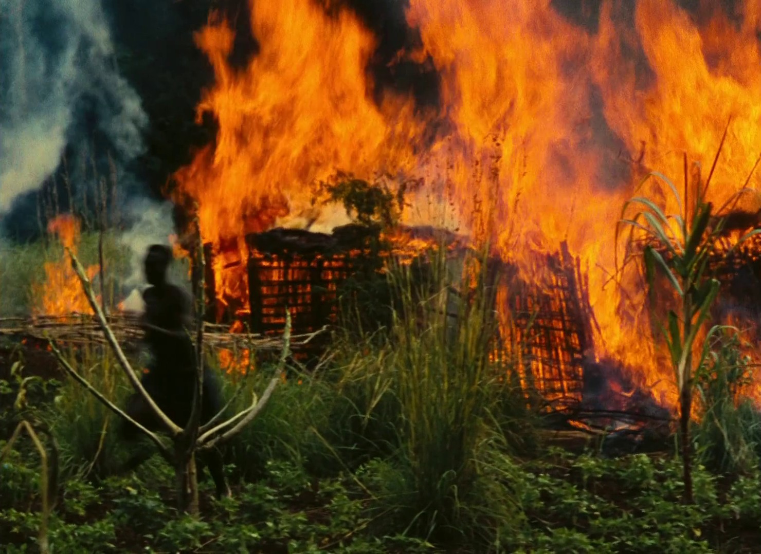 The African Queen (1952) —  shot,  lighting