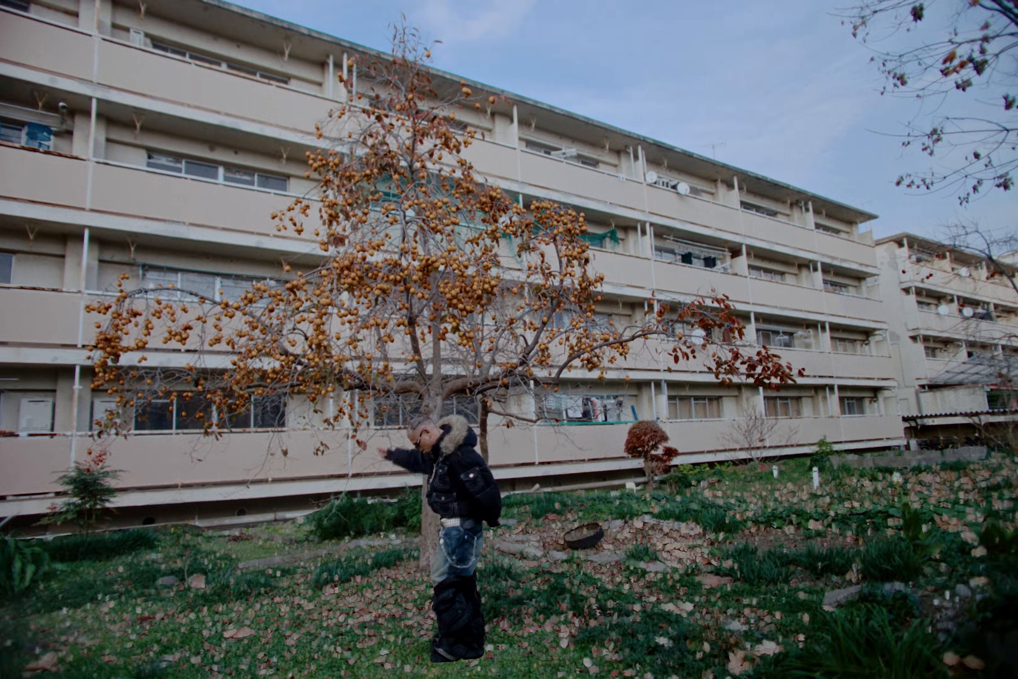 ADHD (2025) —  shot,  lighting