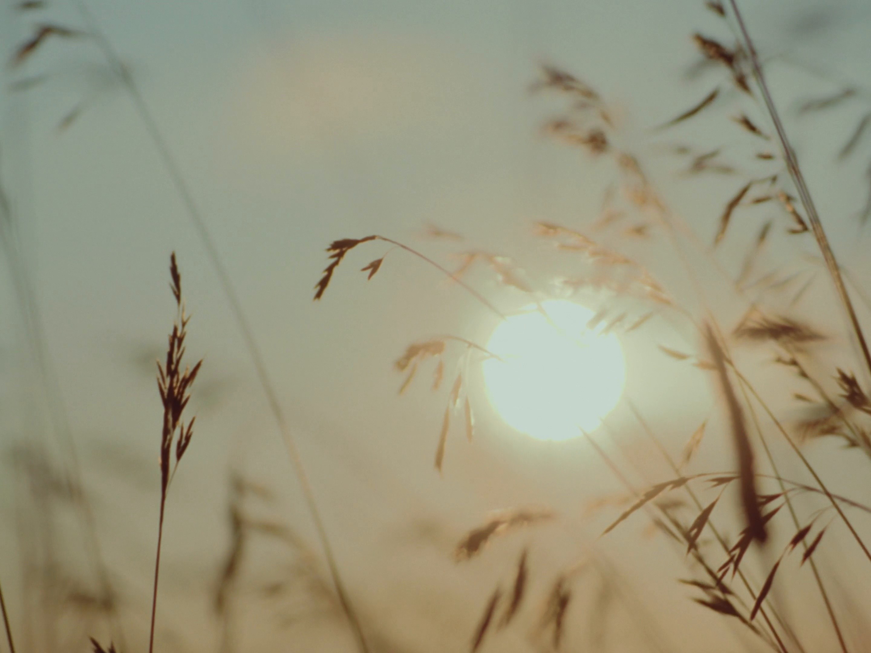 Atelier Emè 2024 - Directors Cut (2024) —  shot,  lighting