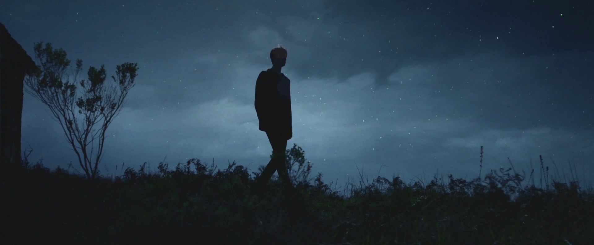 Overgrown (2013) —  shot,  lighting