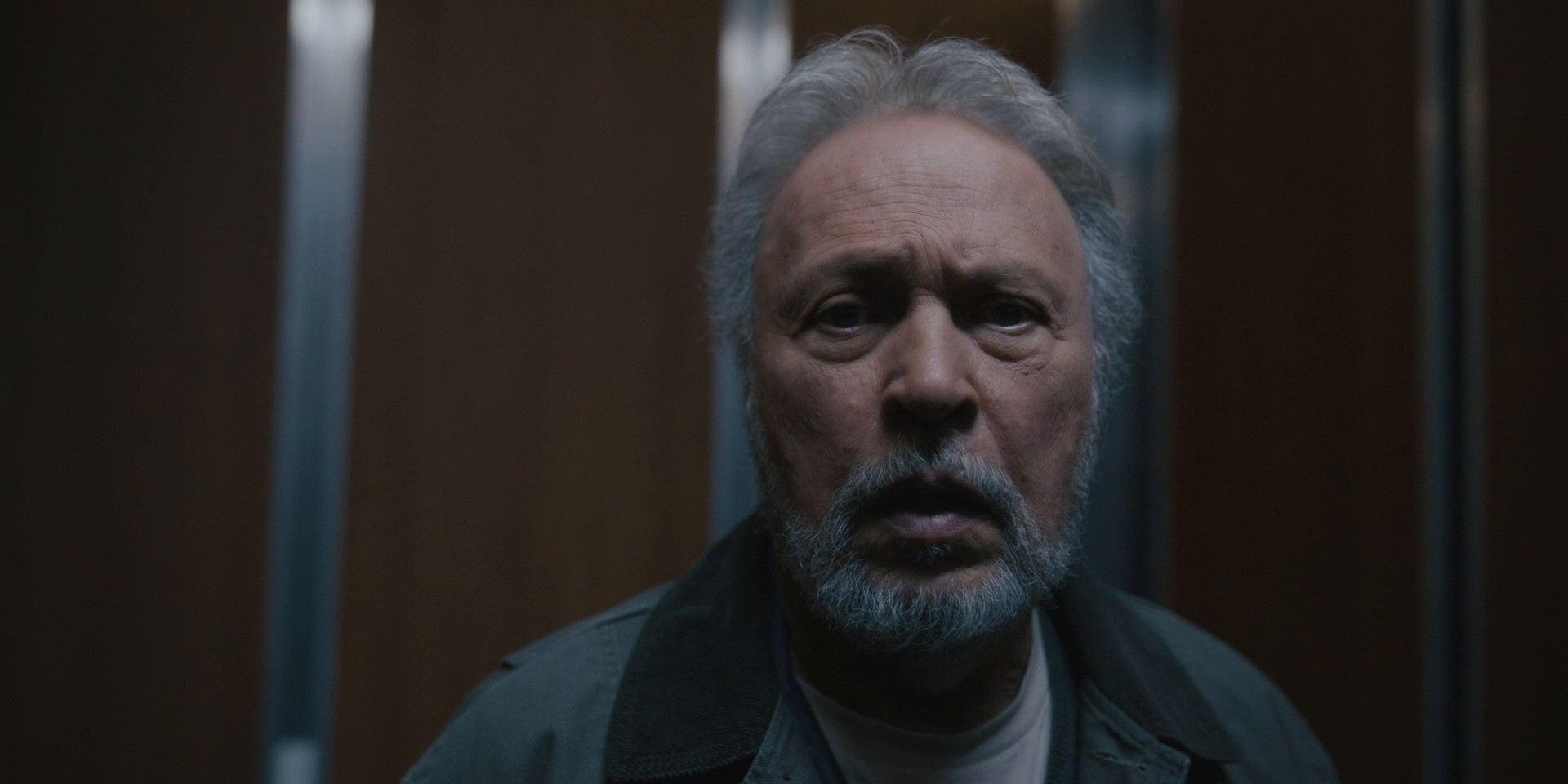 Fever Dream (2024) —  shot,  lighting