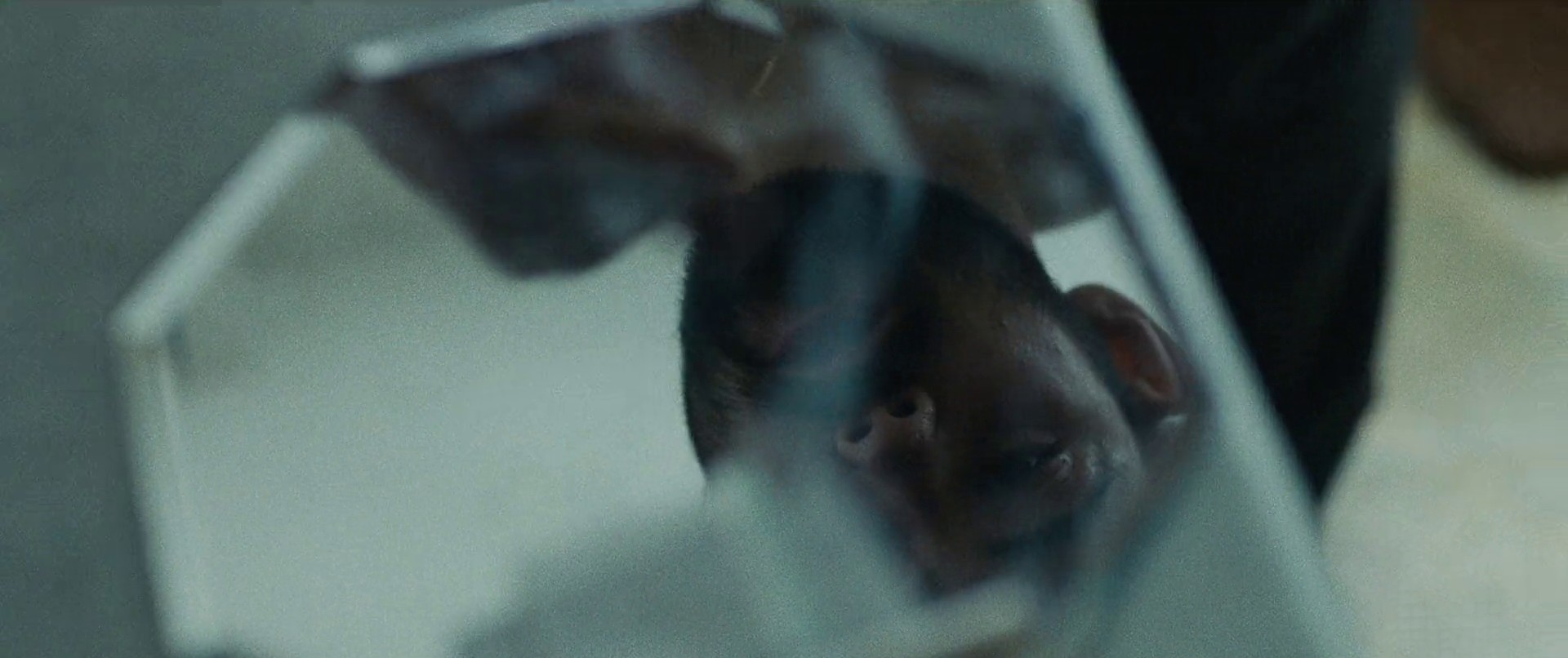 When It Rains (2022) —  shot,  lighting