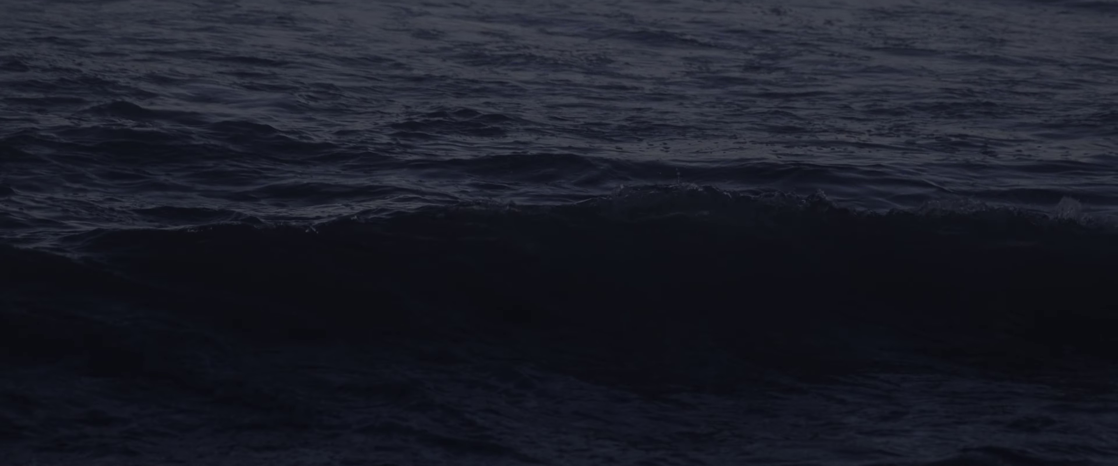 Surrender (2022) —  shot,  lighting