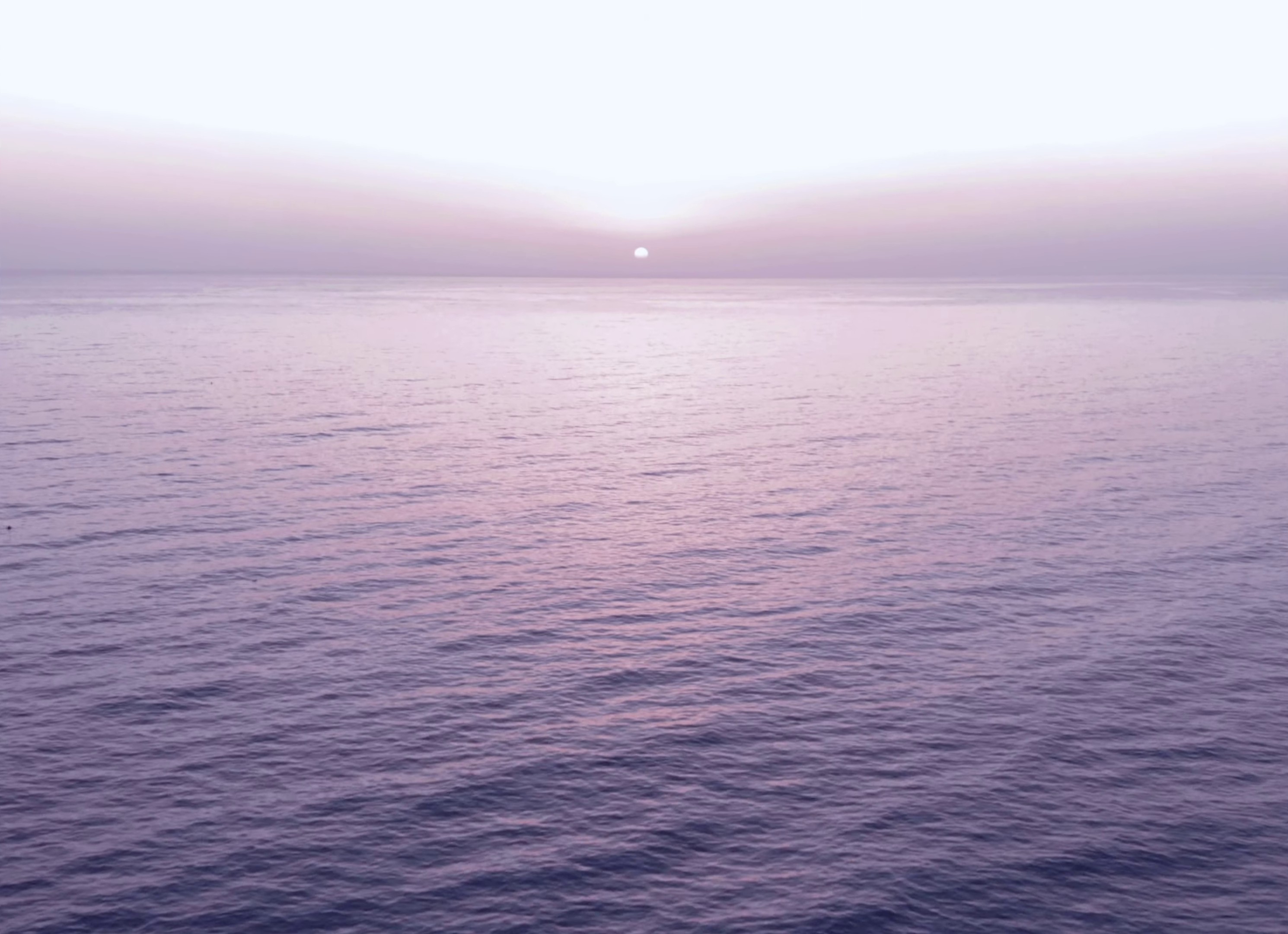 All I Need (2021) —  shot,  lighting