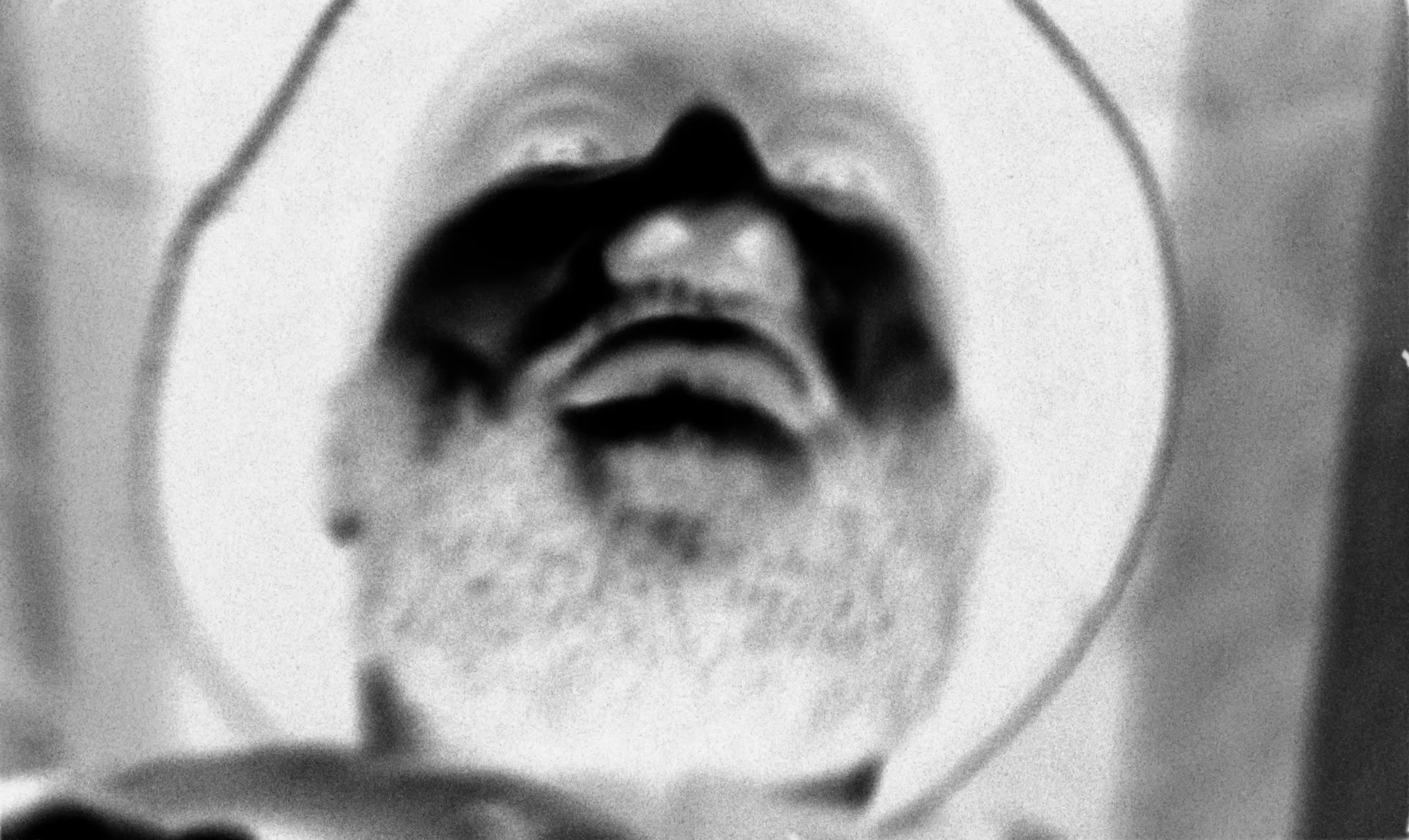 All Kind Of Ideas (2024) —  shot,  lighting