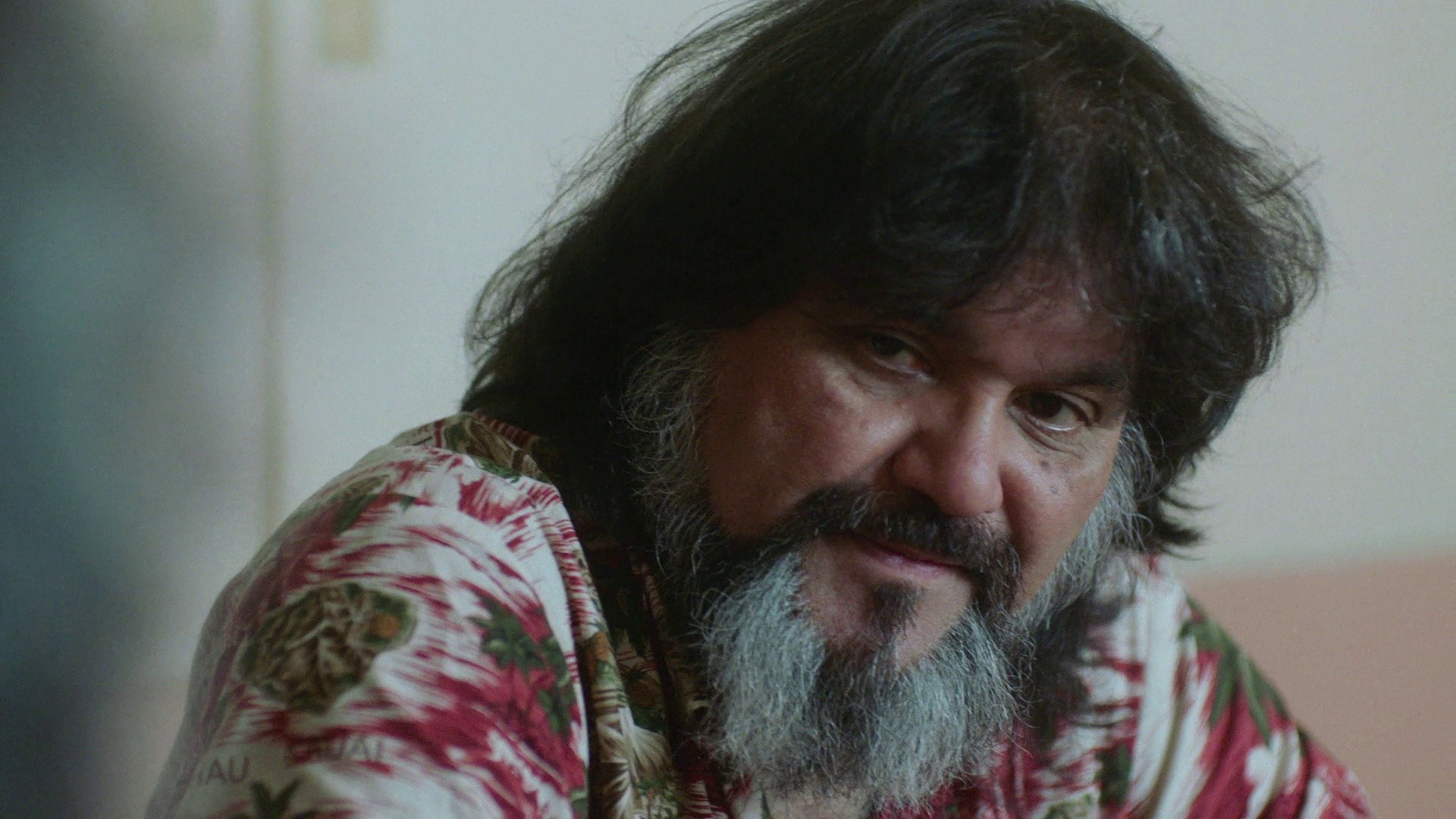 Ainu Mosir (2020) —  shot,  lighting