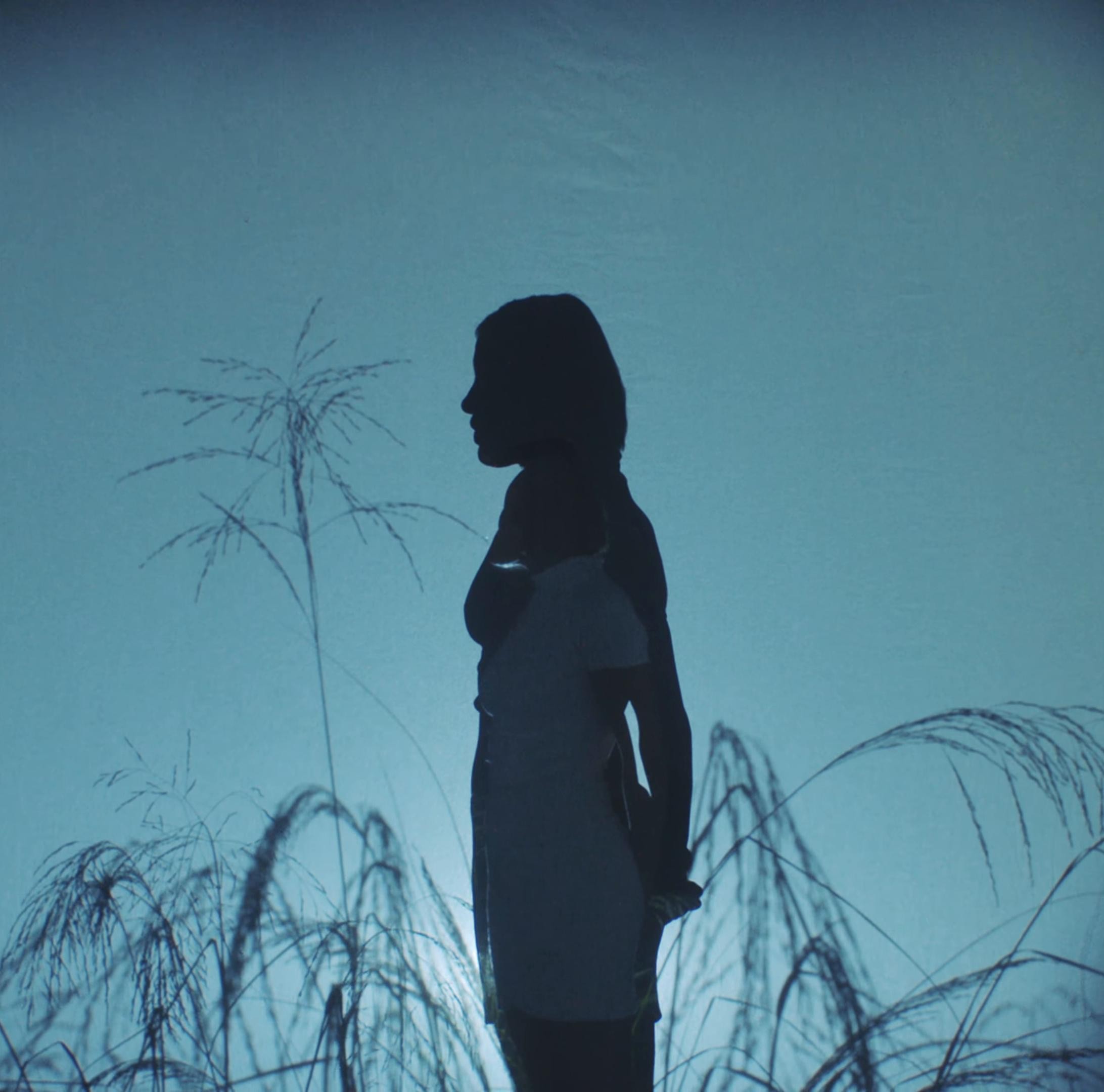 J’veux tout savoir (2024) —  shot,  lighting