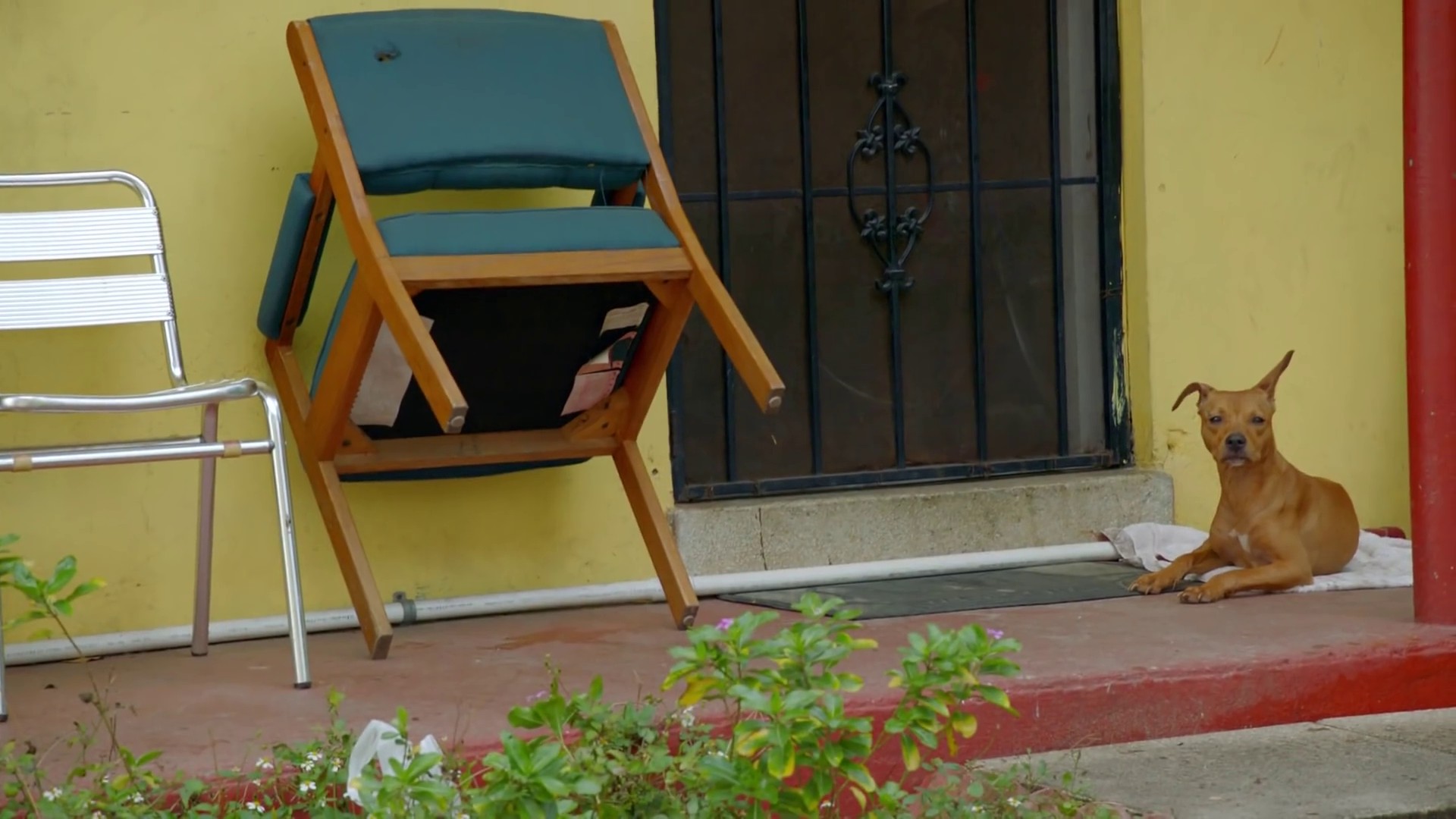 God's Plan (2018) —  shot,  lighting