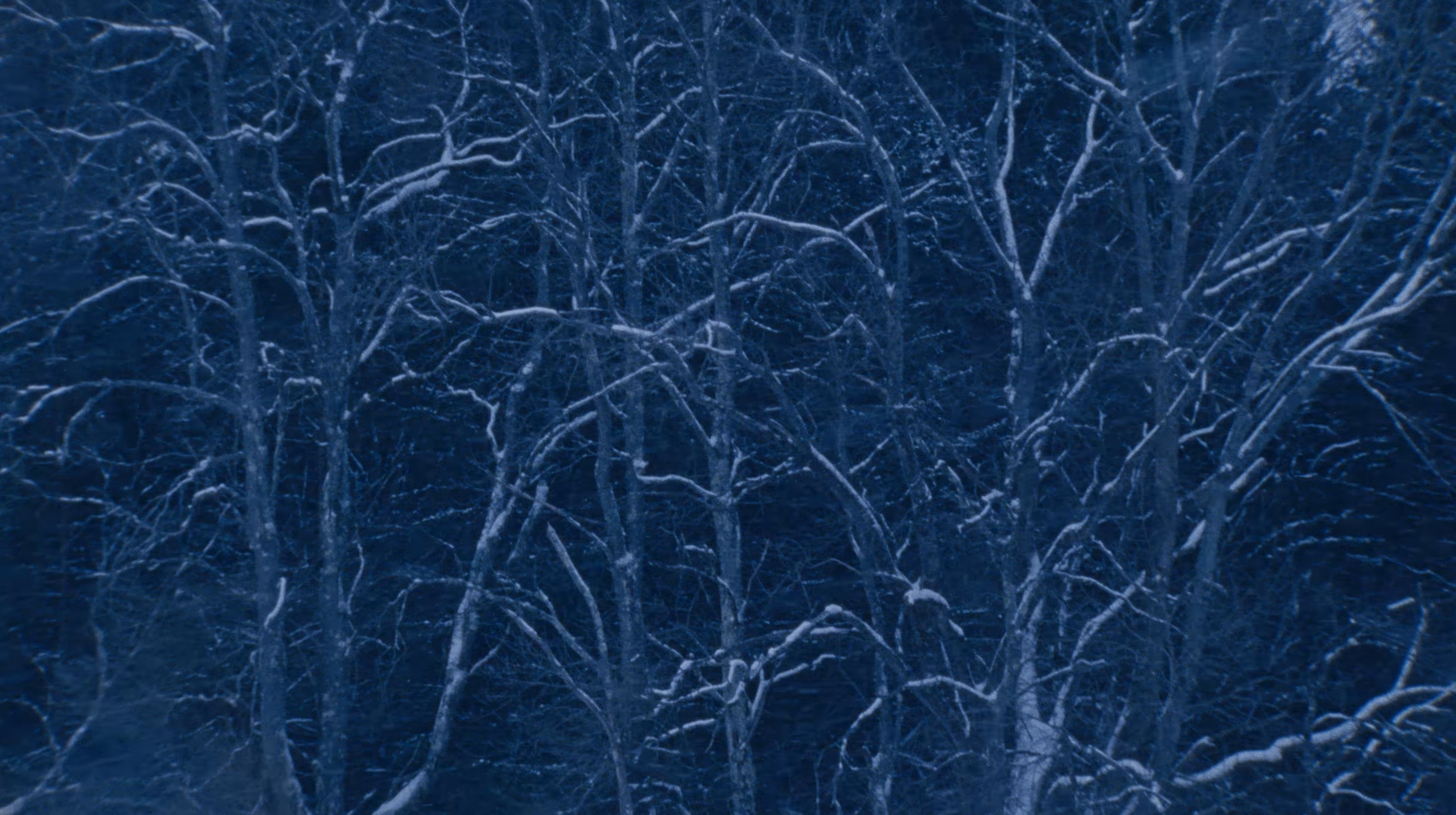 NEVER ENOUGH (2025) —  shot,  lighting