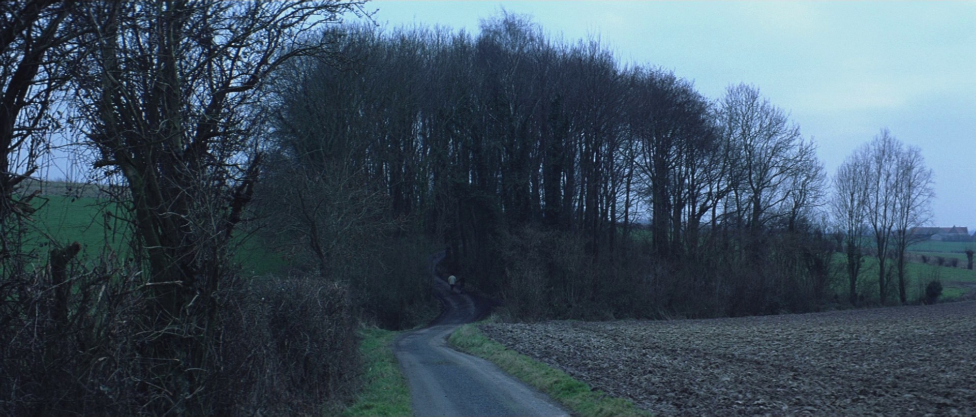 Flanders (2006) —  shot,  lighting