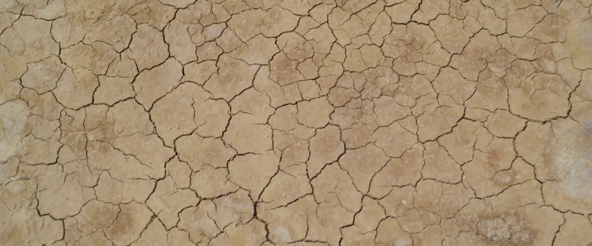 The Dry (2021) —  shot,  lighting