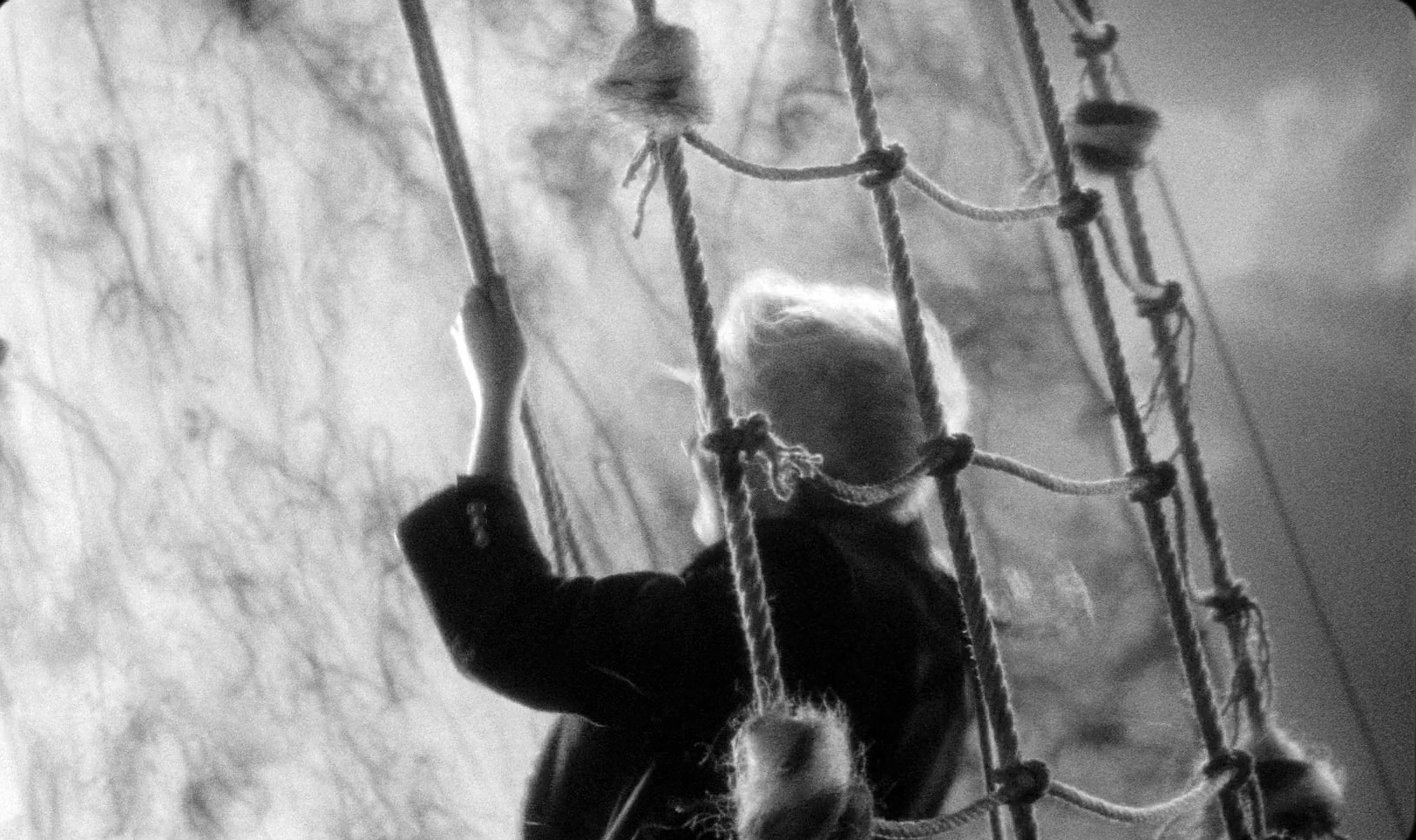 The Wild Boys (2017) —  shot,  lighting