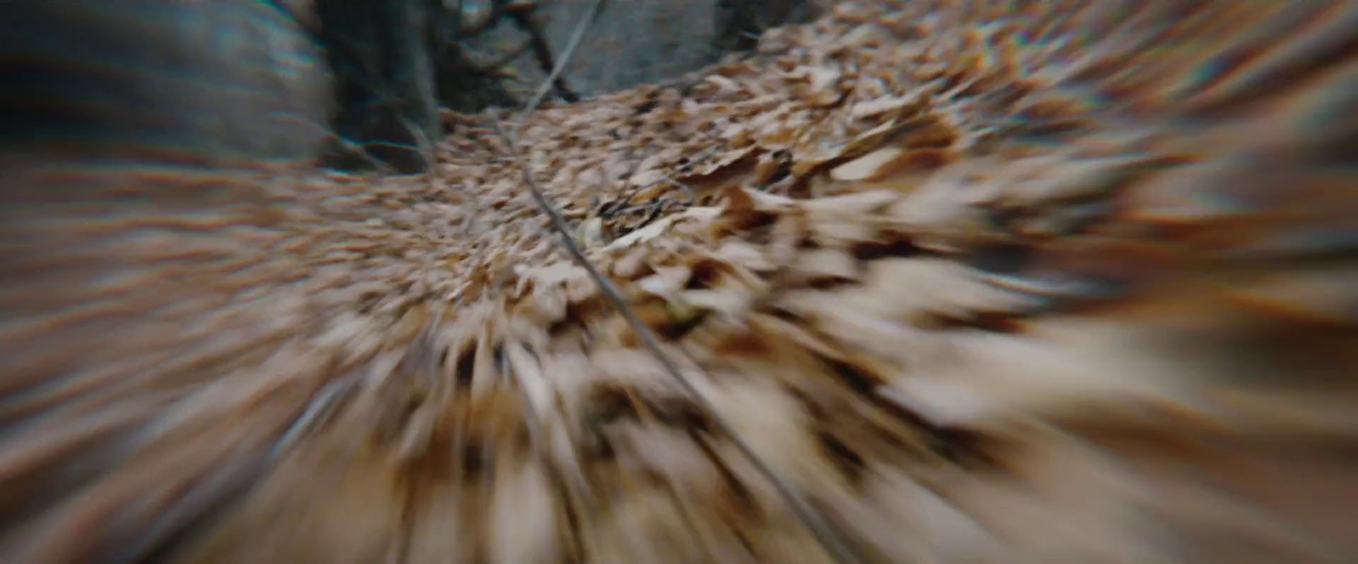 What a day (2021) —  shot,  lighting