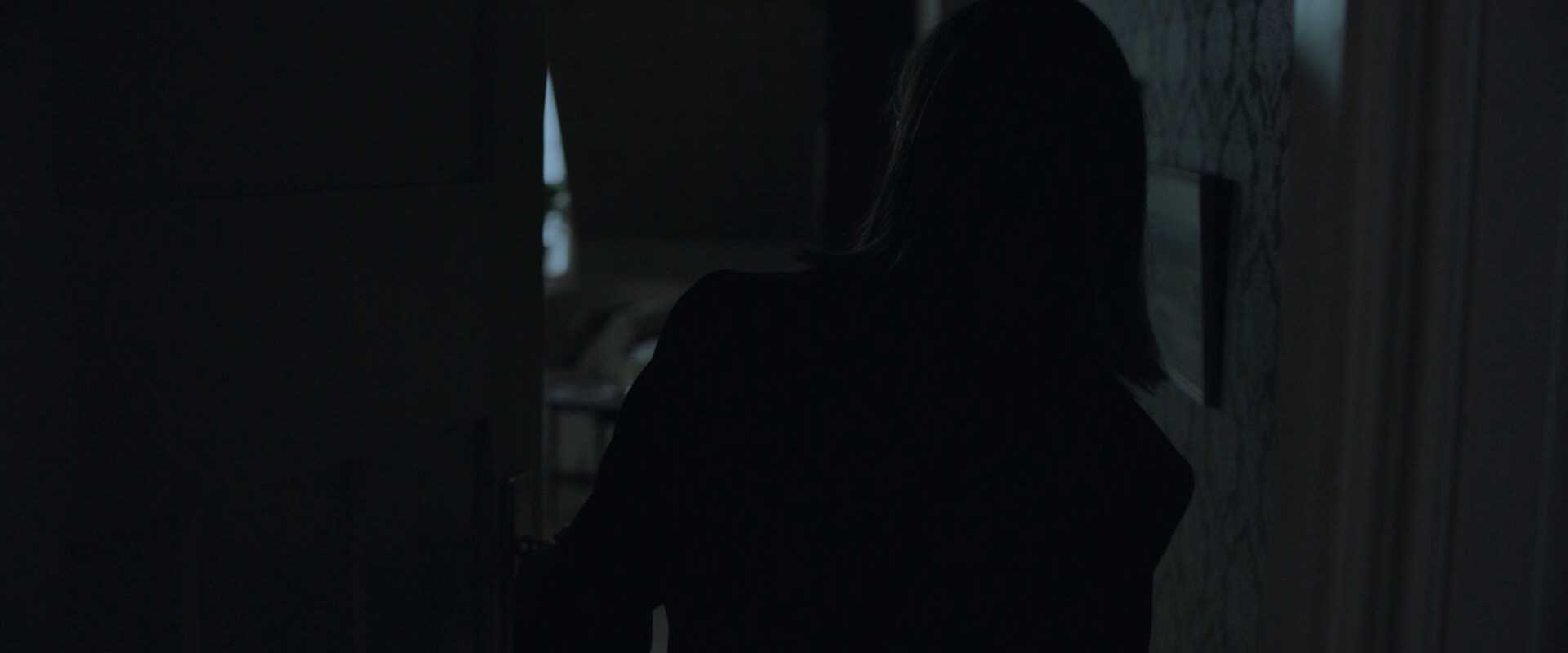 Relic (2020) —  shot,  lighting